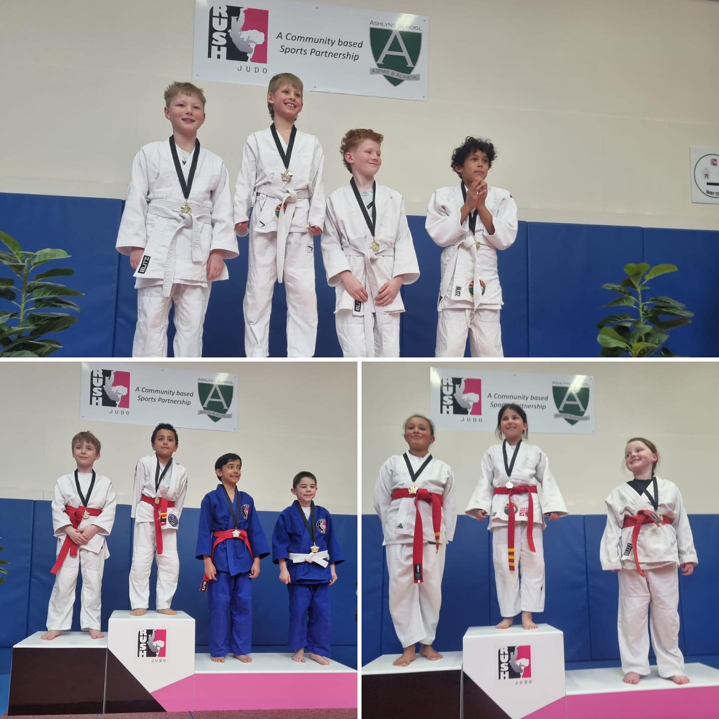 Rushjudo | Berkhamsted