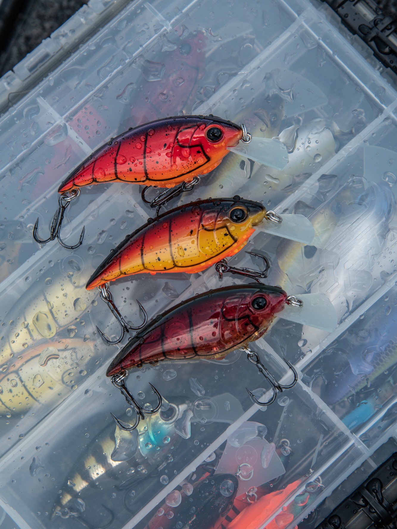 berkley fish smoker FireLine Fused Original, 8lb 300yd Smoke by Berkley : Sports & Outdoors head blade design and talon Berkley Fishing - Berkley Fishing