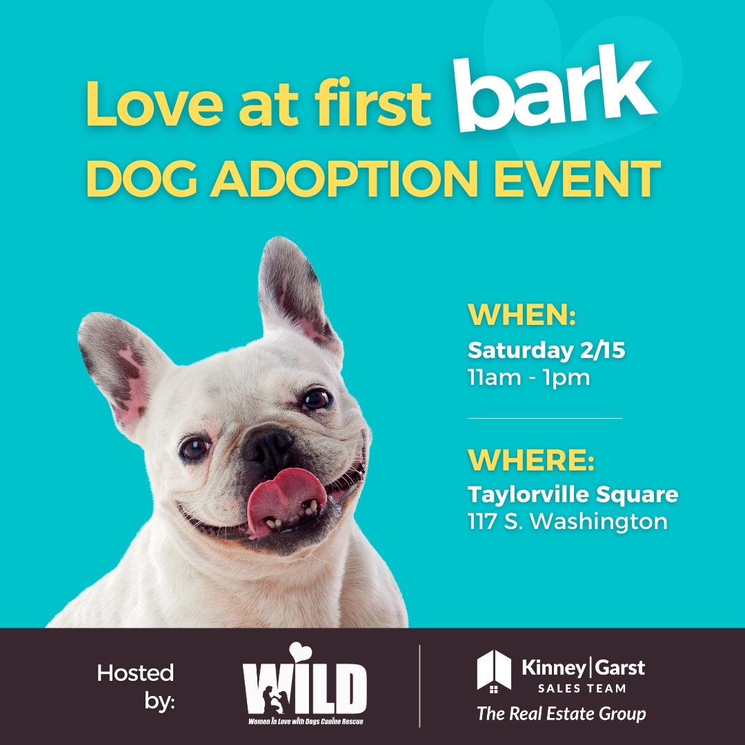 WILD Canine Rescue | Springfield IL