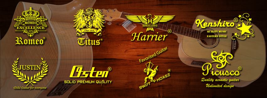 IMusic Extra Guitars