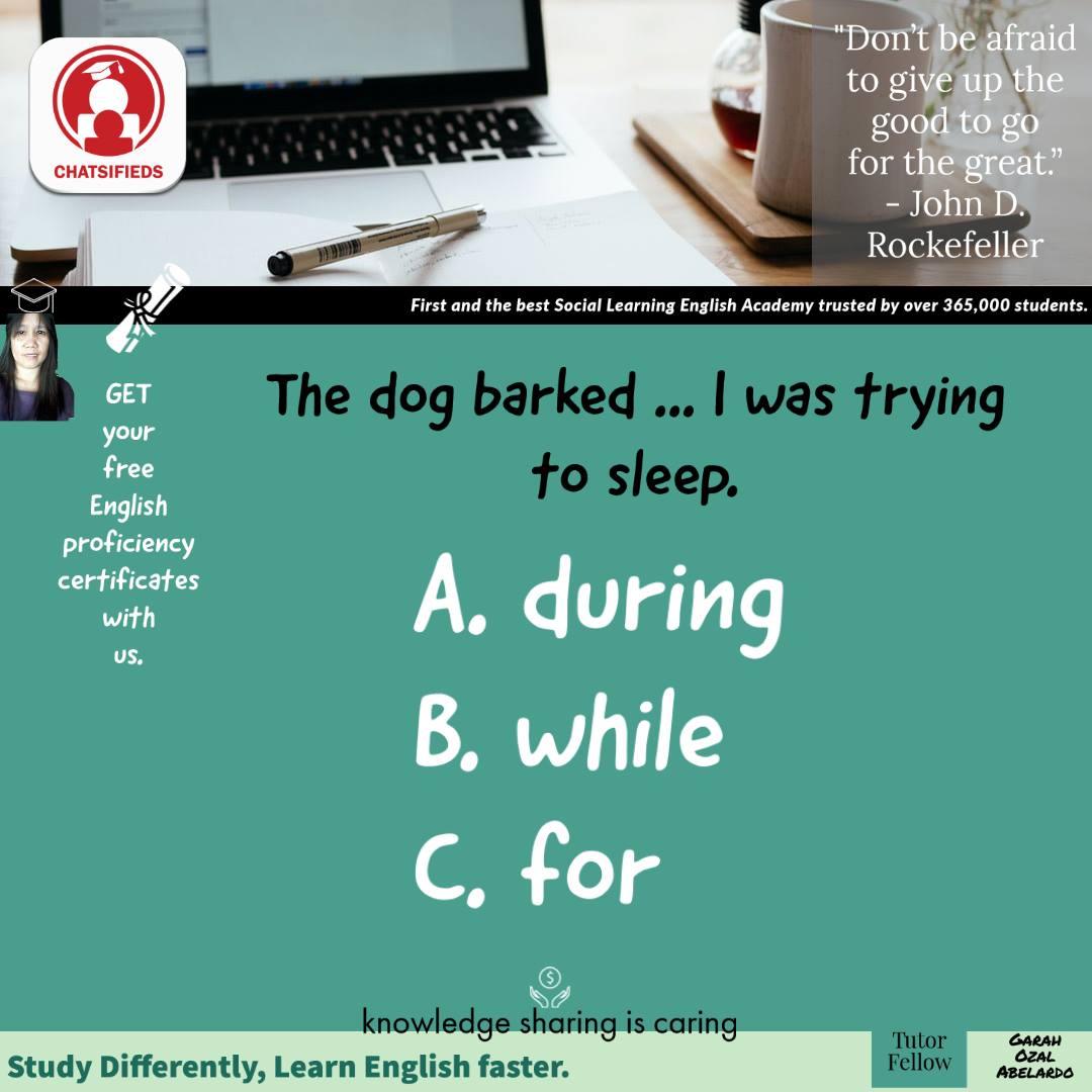Chatsifieds.com - 👩‍🏫 The Difference between During and While. 👍 Garah ...