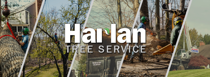 Harlan Tree Service | Exton PA