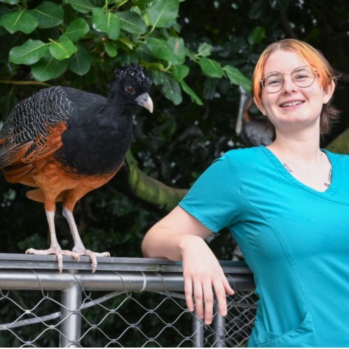 National - Veterinary Assistants, like Mik, play a vital role in the ...
