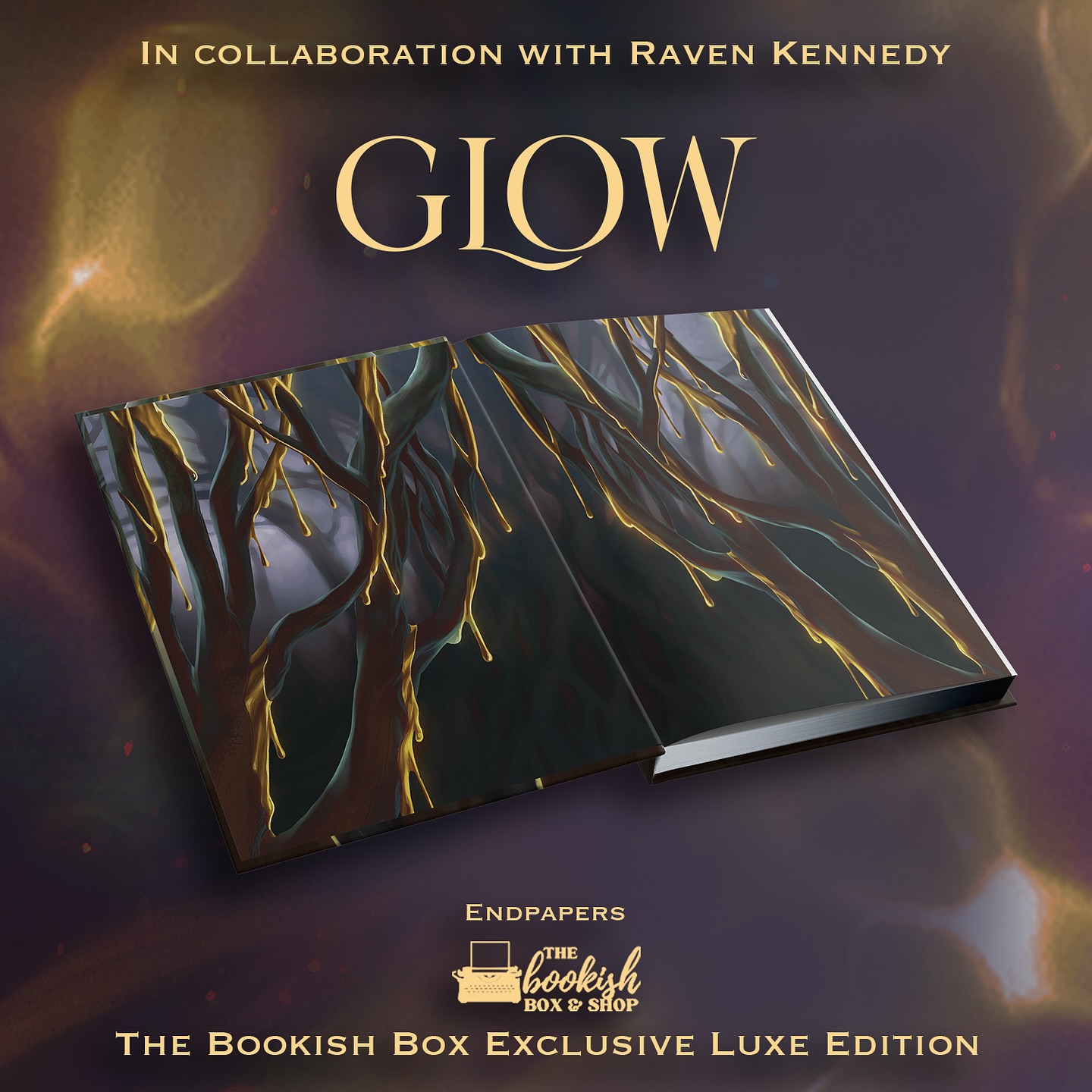 Hey, Bookish Fam! In collaboration with Rachel Schneider