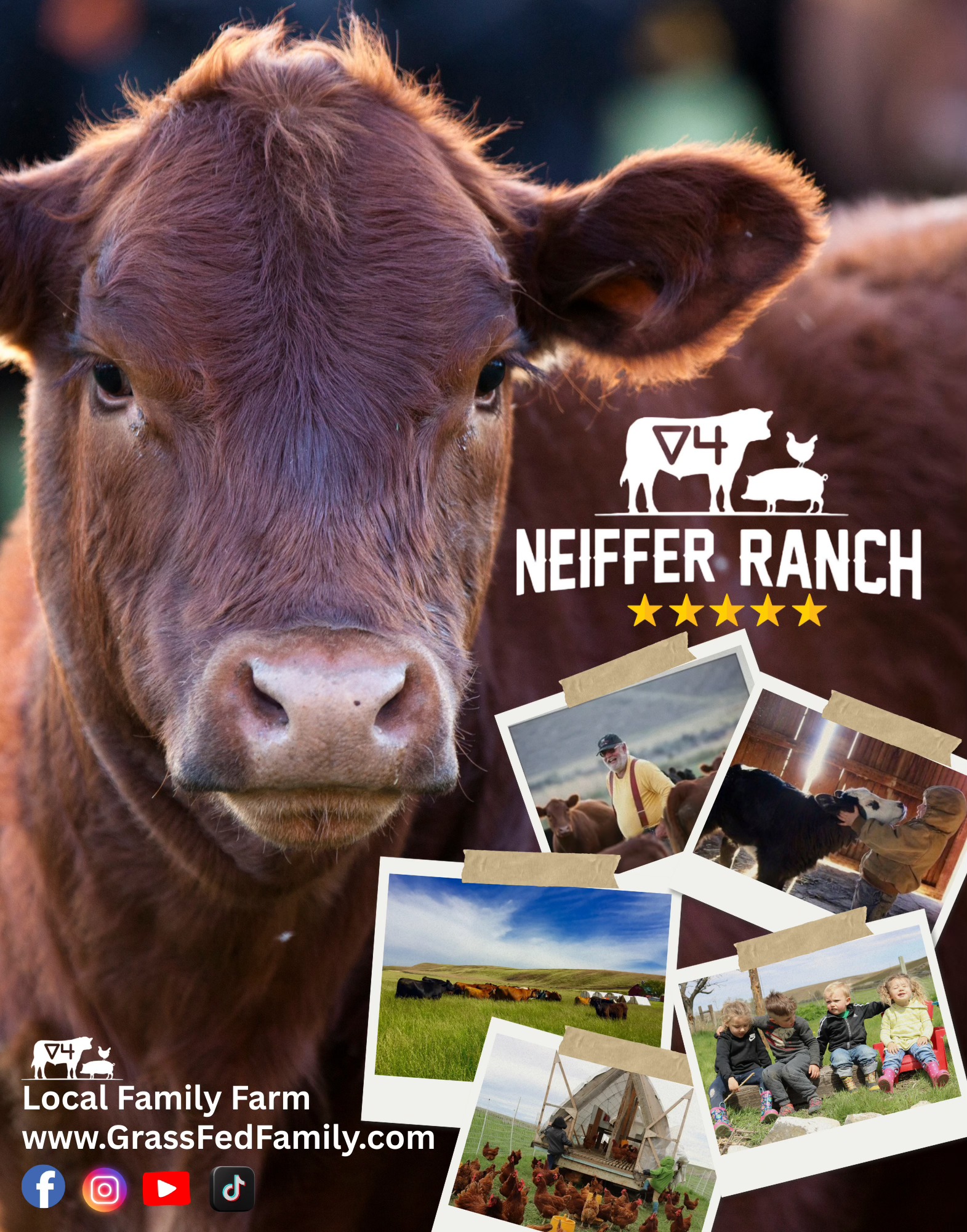 Neiffer Triangle 4 Ranch | Lexington OR