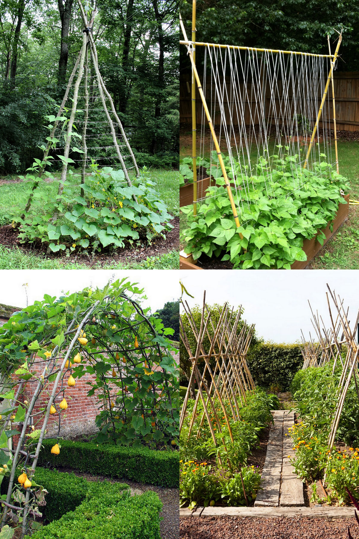 A piece - Level Up Your Garden with DIY Trellises! 😍🌿 You can make them
