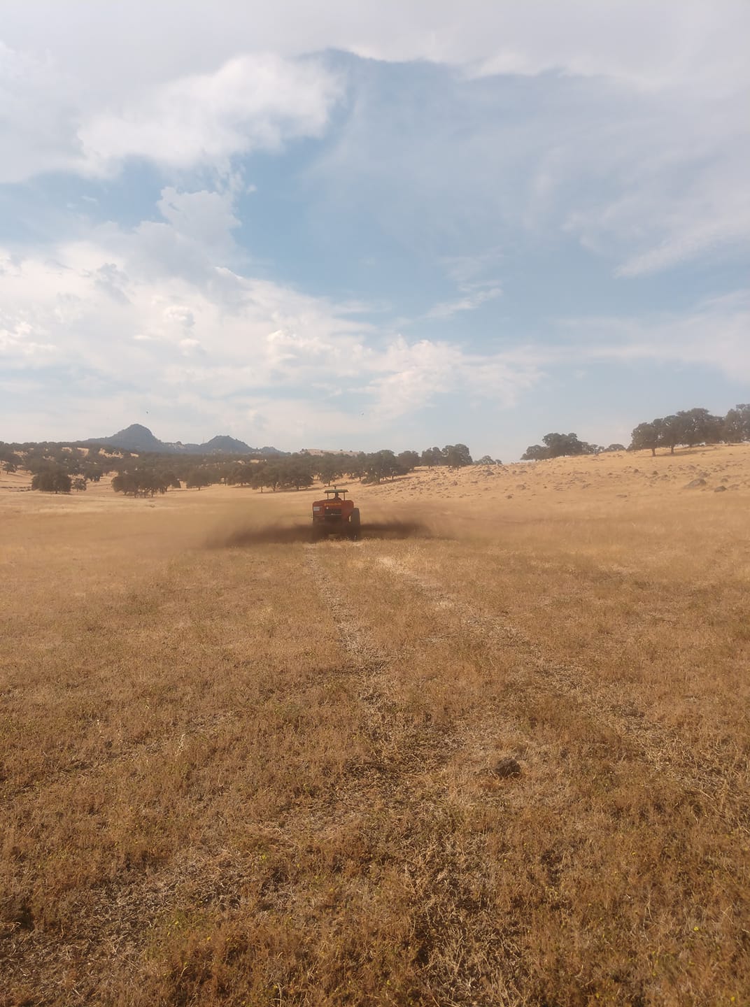 Donati Ranch Angus | Oroville CA