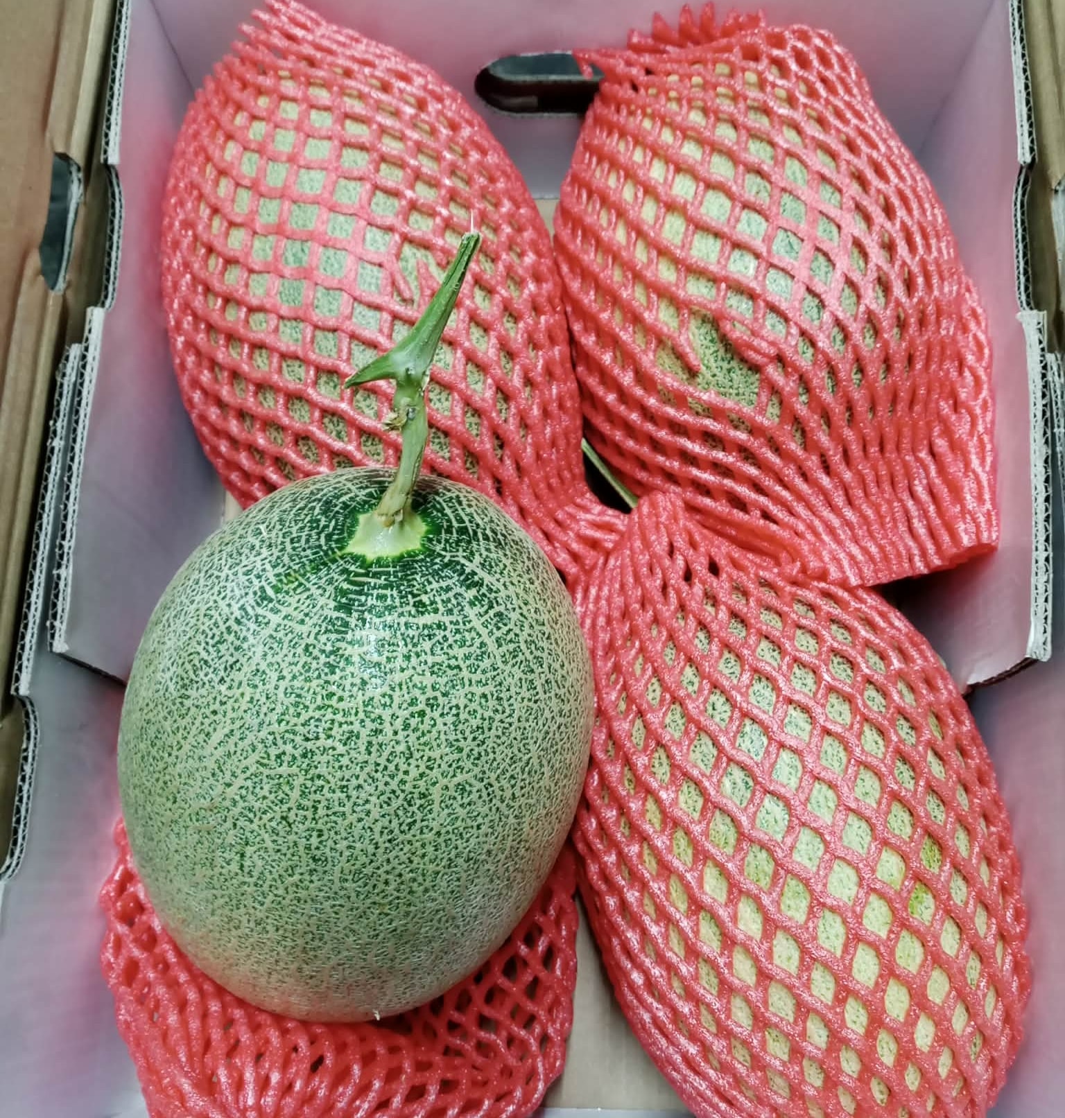 🍈 The Hami Hype: The... - Always Fresh PH Fruit Delivery | Facebook