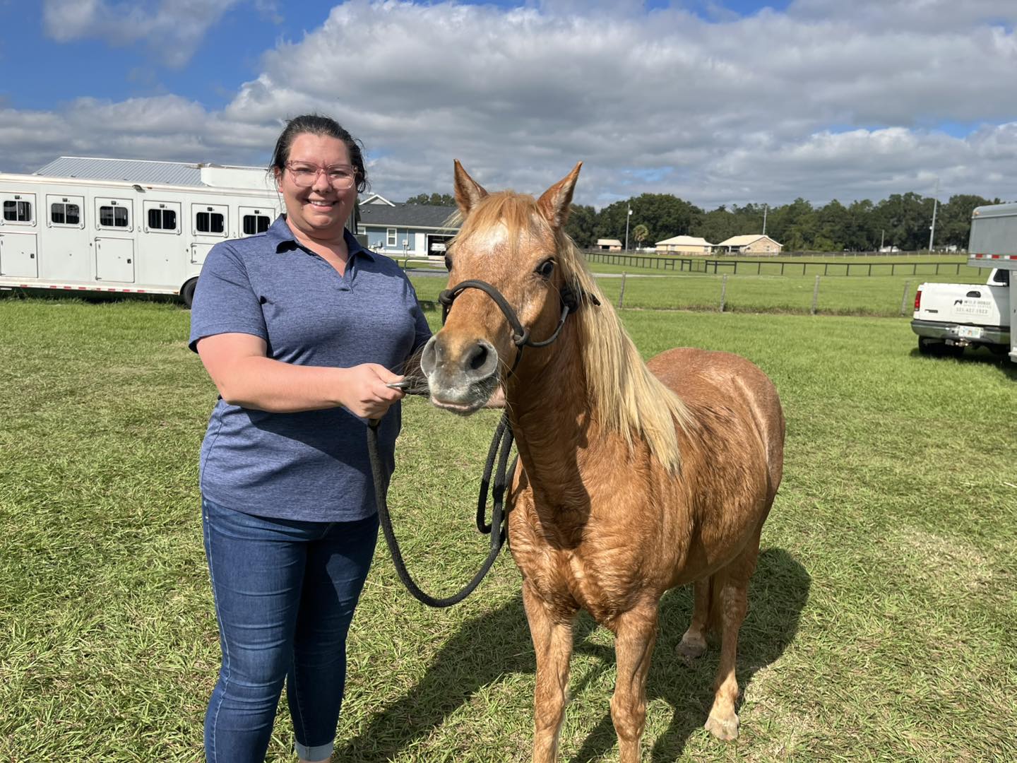 Wild Horse Rescue Center - Getting our barn ready with new yellow sand ...