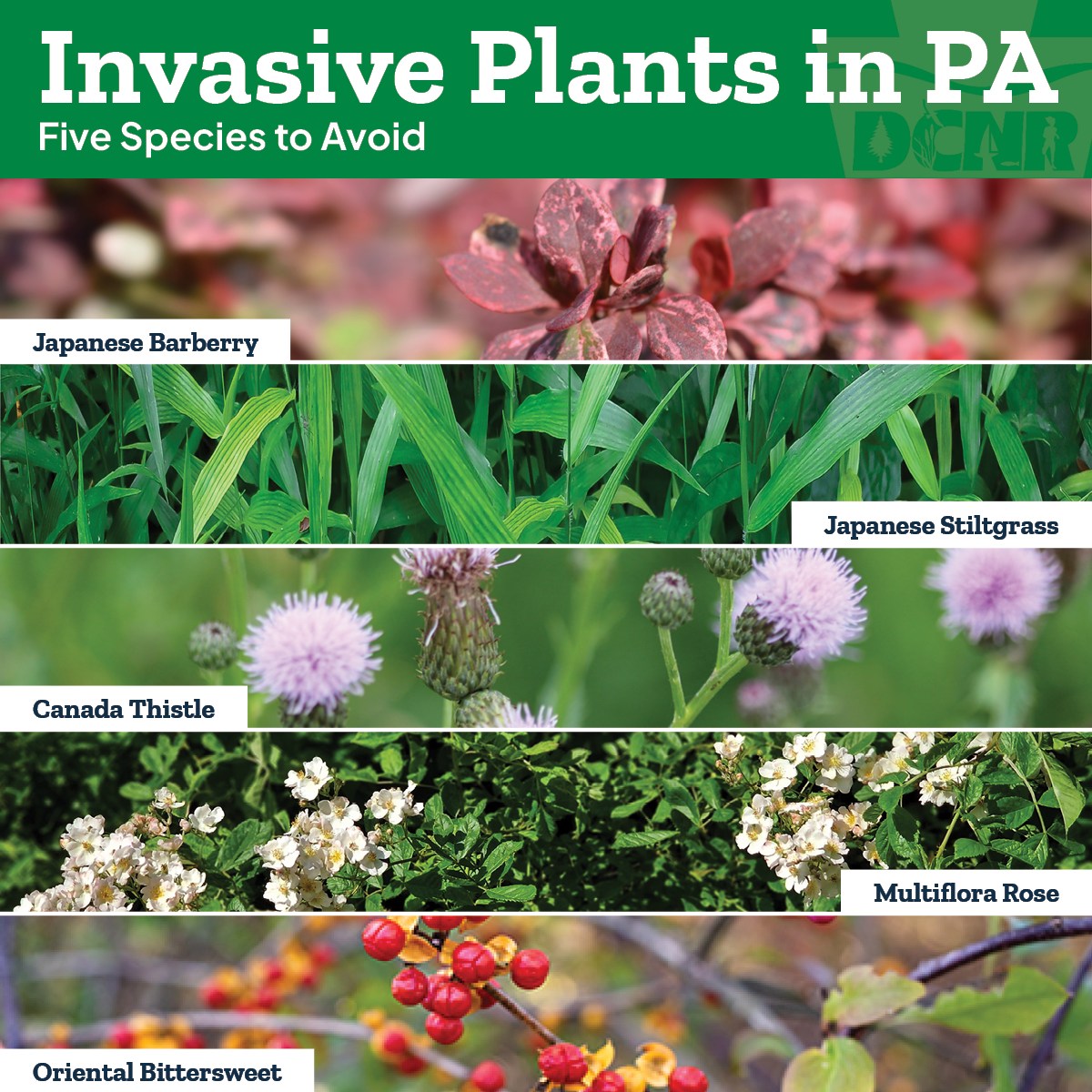 Penn State Master Gardeners of Warren County | Youngsville PA