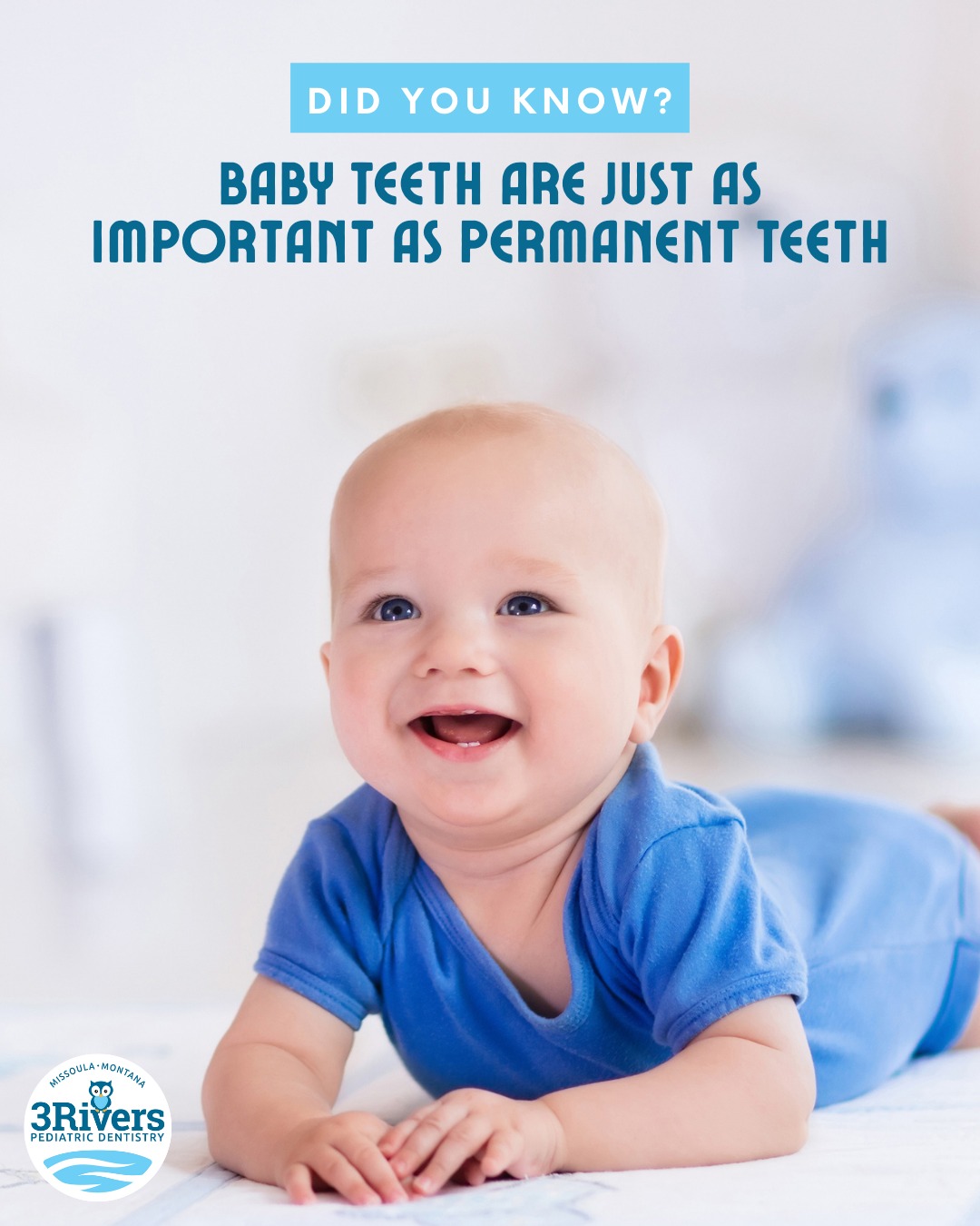 Did you know baby teeth are... - 3 Rivers Pediatric Dentistry | Facebook