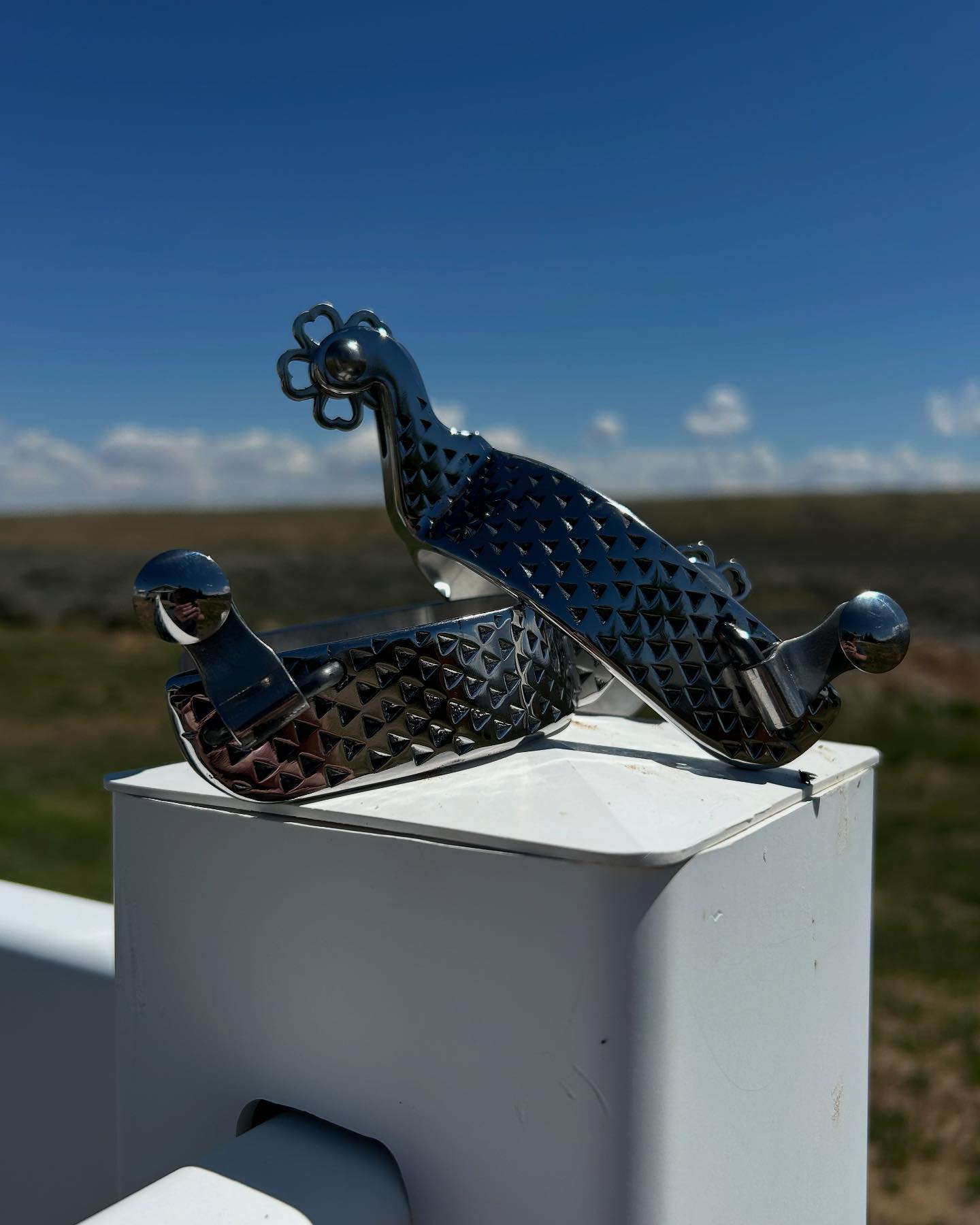 Rasp spurs bits and buckles... - Rasp spurs bits and buckles