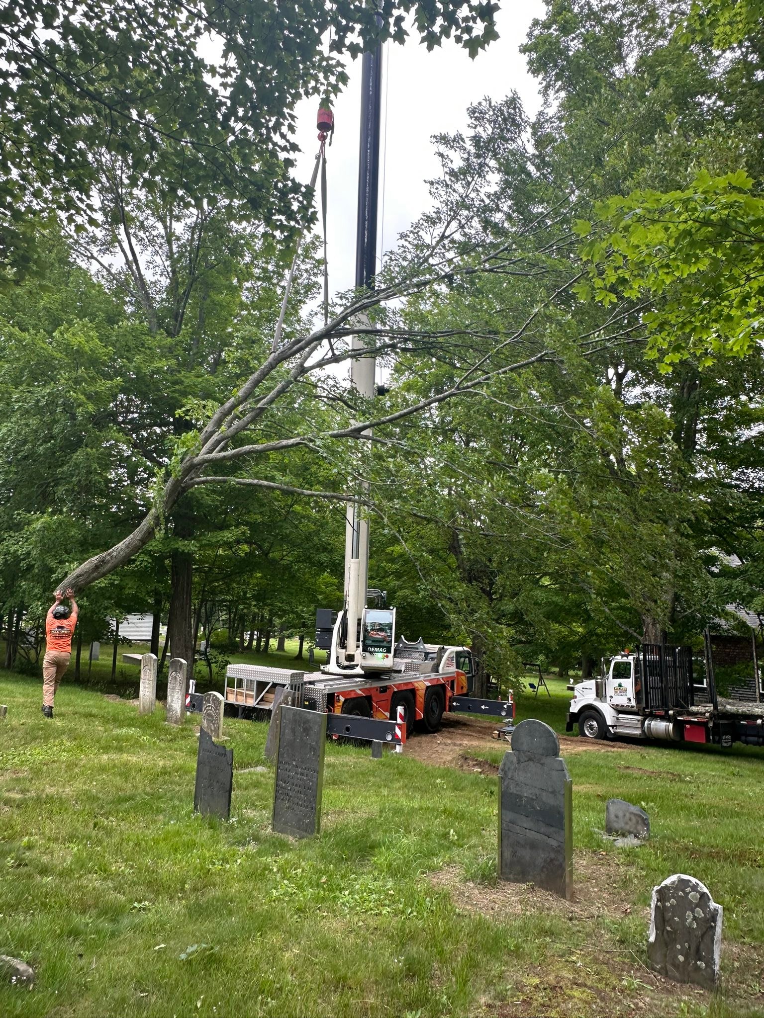 All-Pro Tree Service added a new photo. - All-Pro Tree Service