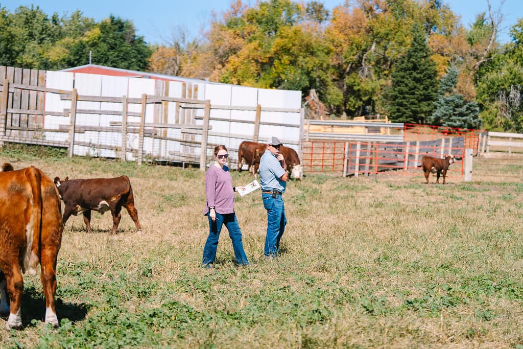 Delaney Herefords added a new photo. - Delaney Herefords