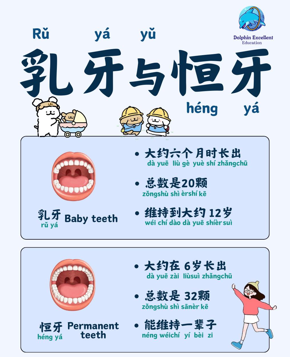 Dolphin Excellent - Dolphin Excellent Education 海豚学力士补习