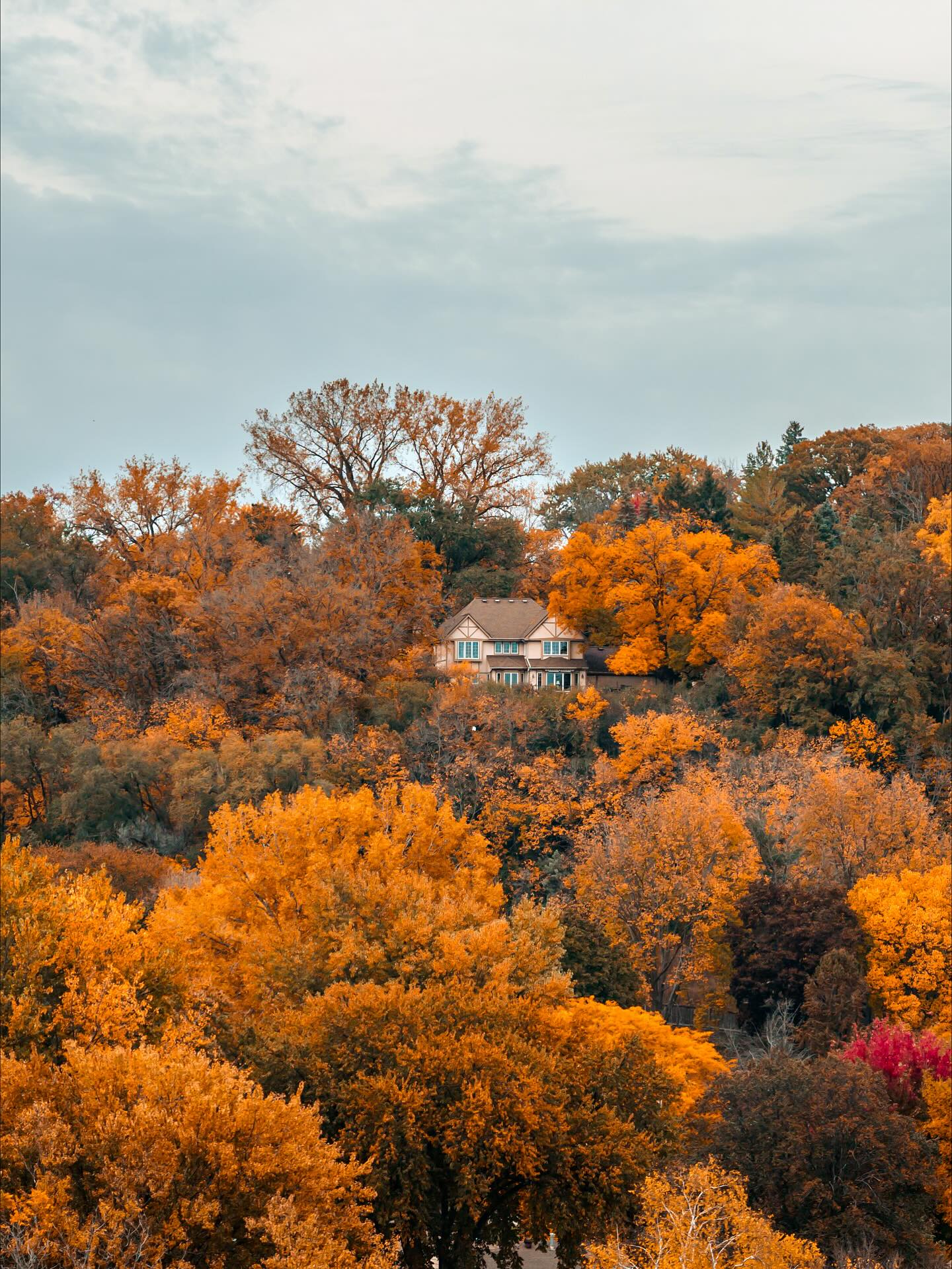 Discover Rochester, MN added a... - Discover Rochester, MN