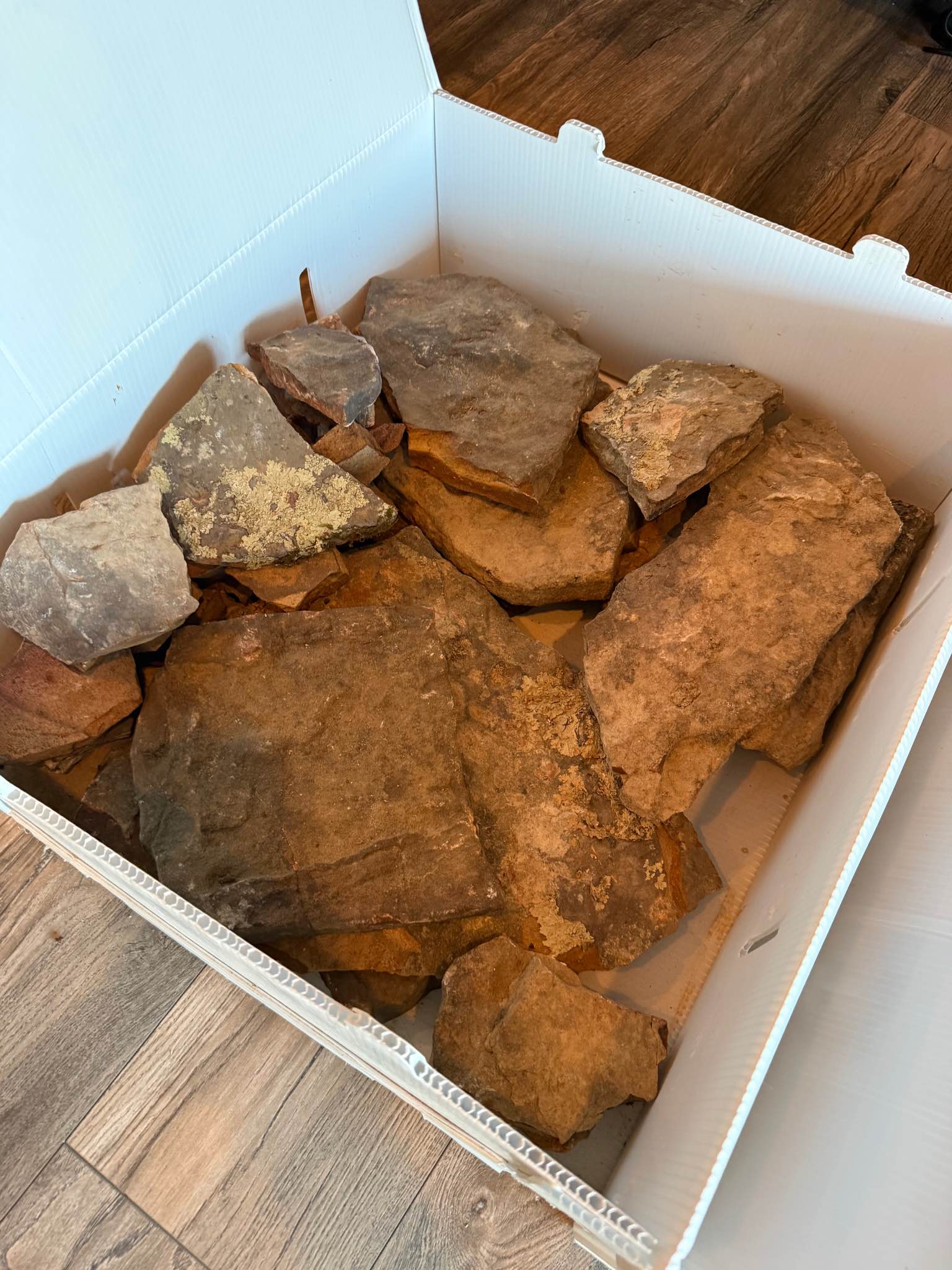 Fieldstone aspen flats - Rocks, Fossils & Minerals - Lake Elmo ...