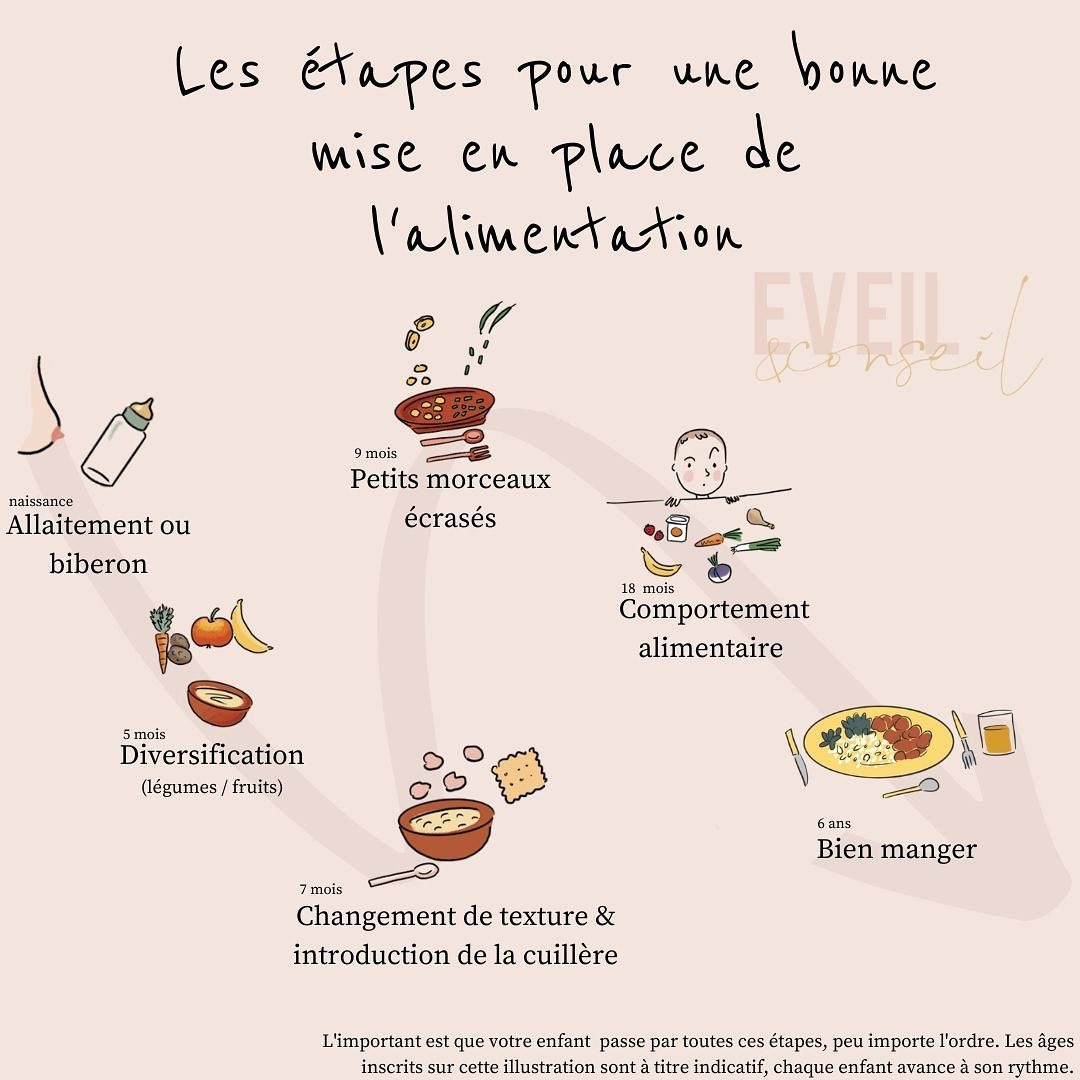 Eveil Conseil Une Alimentation Saine Et Equilibree C Est Le Souhait De Tout Parent Pour Son Enfant Chaque Etape Ici Est Importante A La Mise En Place D Une Bonne Alimentation Suivre Ces Differentes