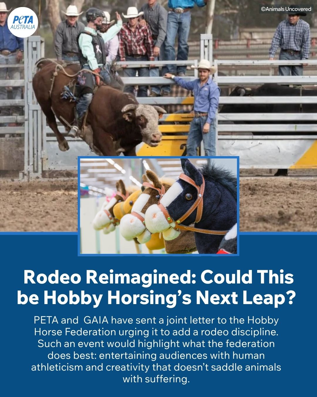 PETA - Should hobby horsing embrace a rodeo-inspired discipline, it ...
