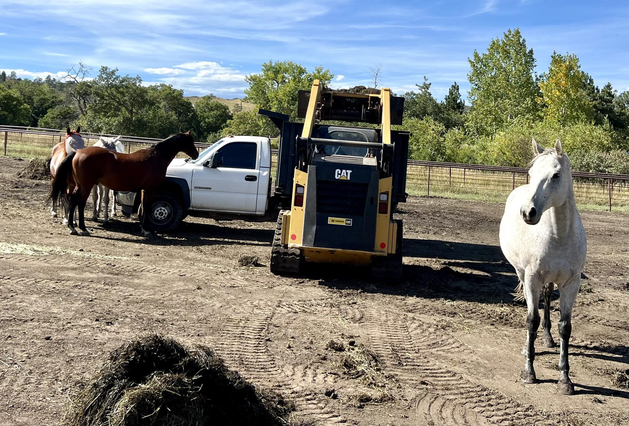 Happy Dog Ranch - 🚜 Teamwork makes the dream work! The... | Facebook