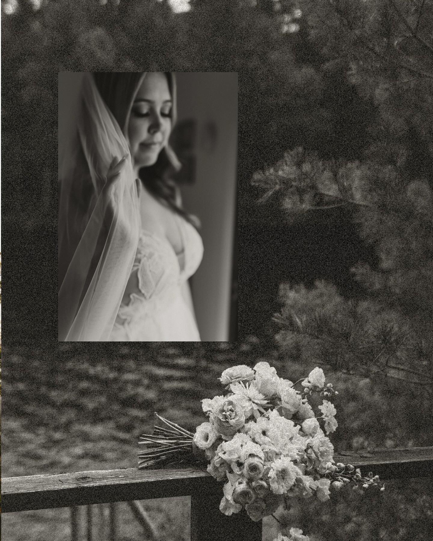 Melissa Lauren Photography... Melissa Lauren Photography