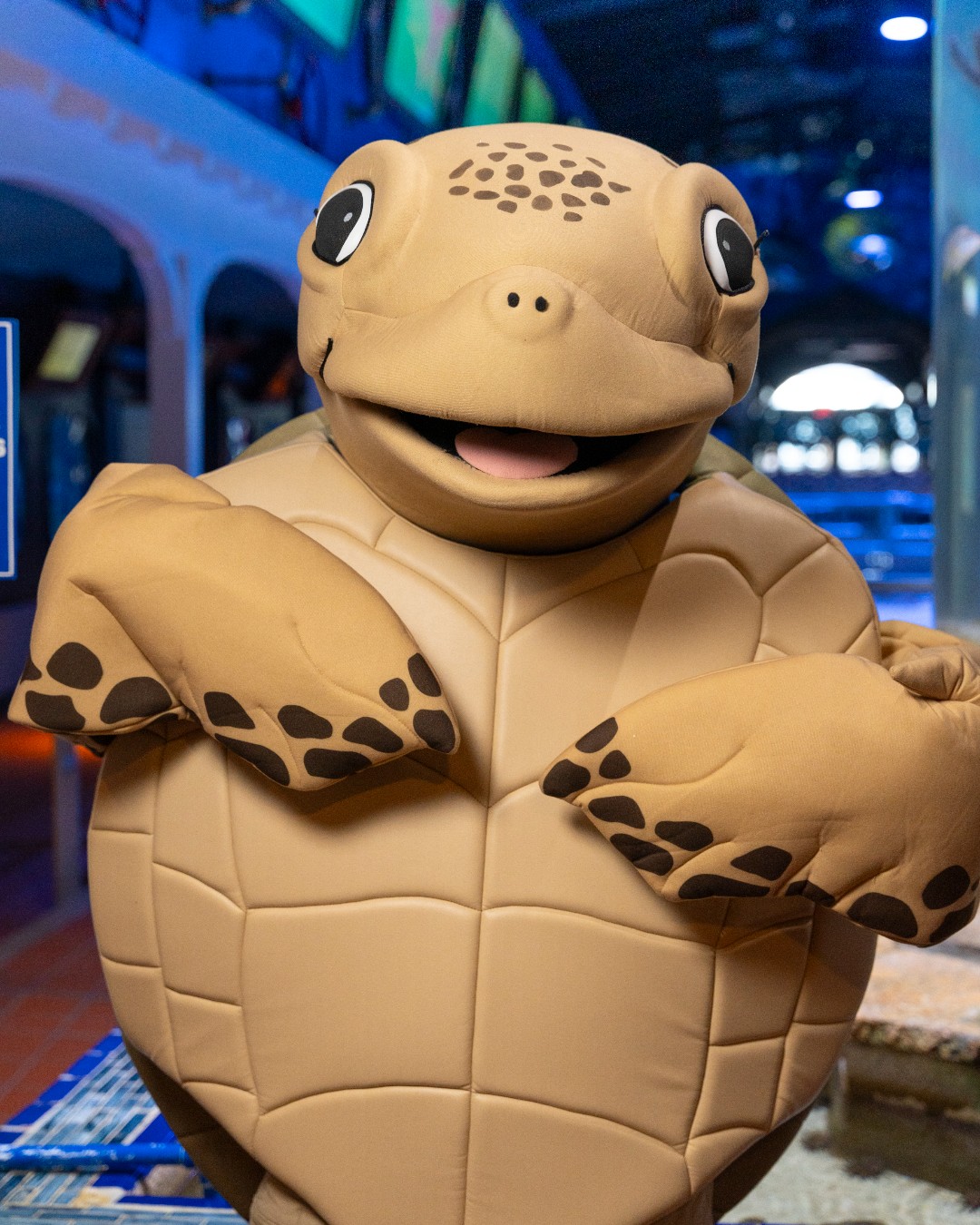 Sheldon C. Turtle is waving hello! 🐢 👋... - Key West Aquarium | Facebook