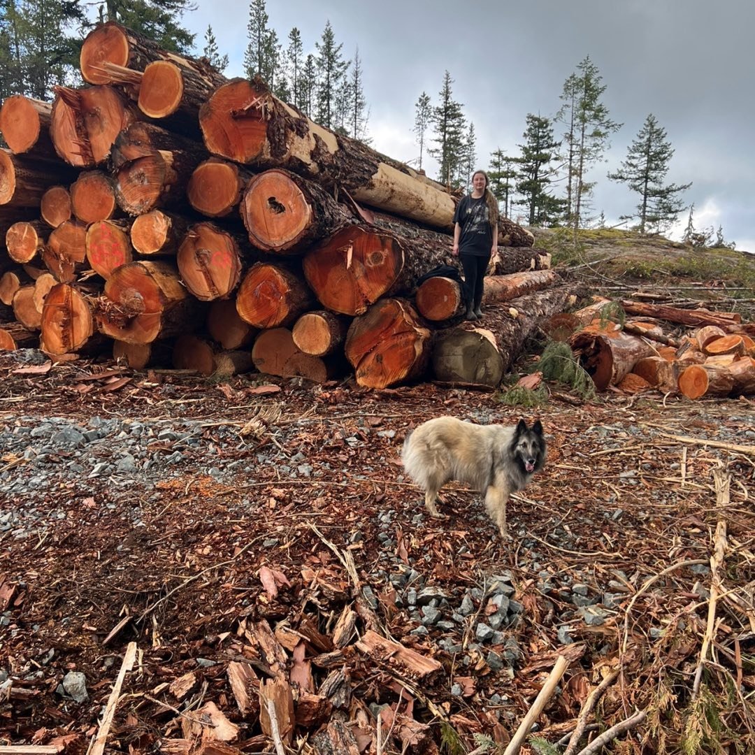 Nanaimo Raves and Recommendations | Looking for raves for a a good tree ...
