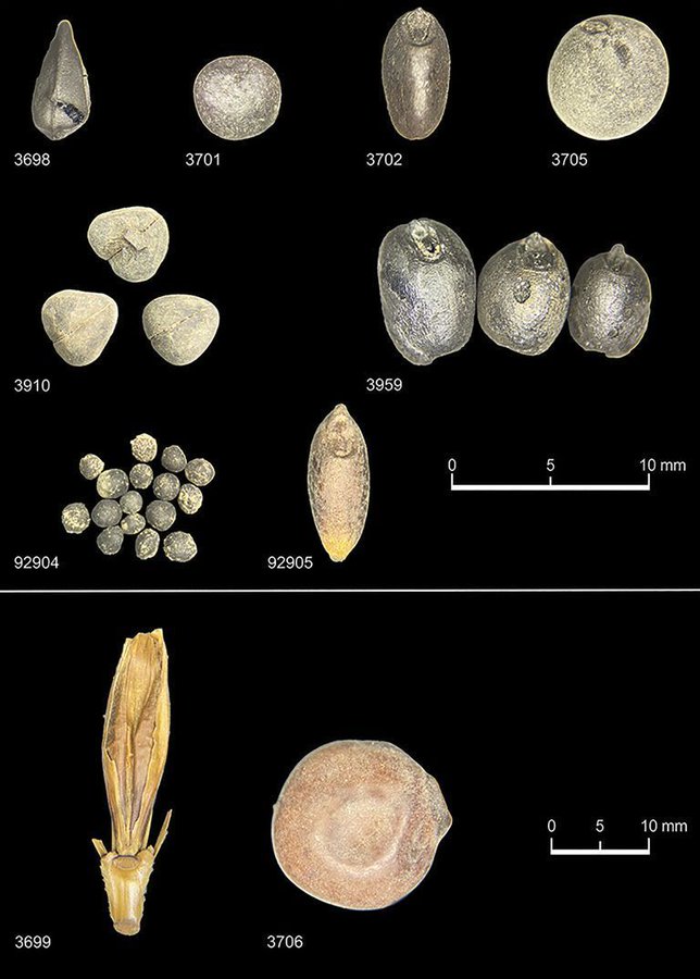 Antiquity - What did a #Roman diet look like? Probably something like ...