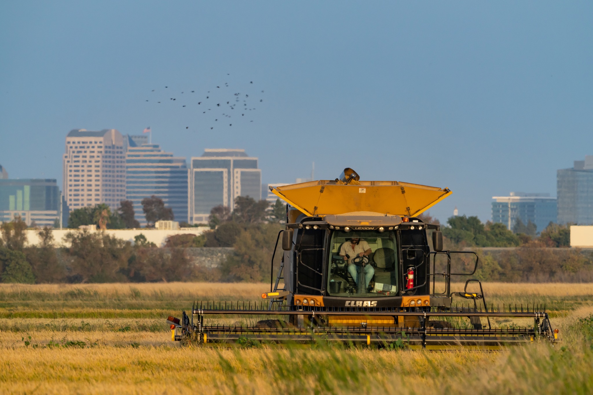 California Rice Commission | Sacramento CA