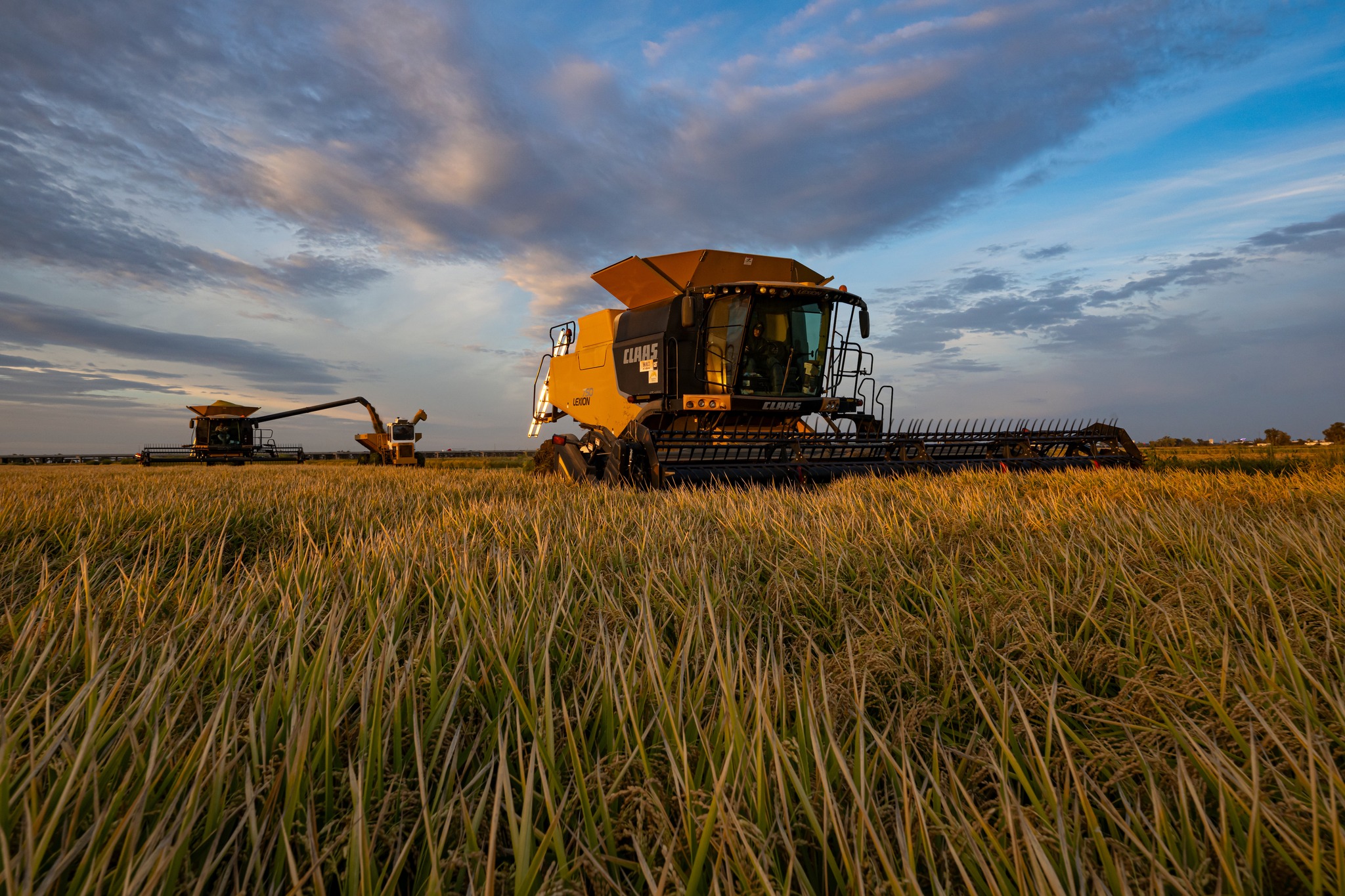 California Rice Commission | Sacramento CA