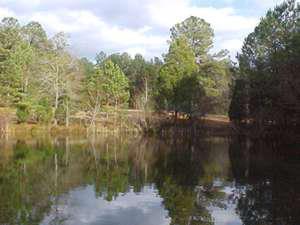 Geer Farm