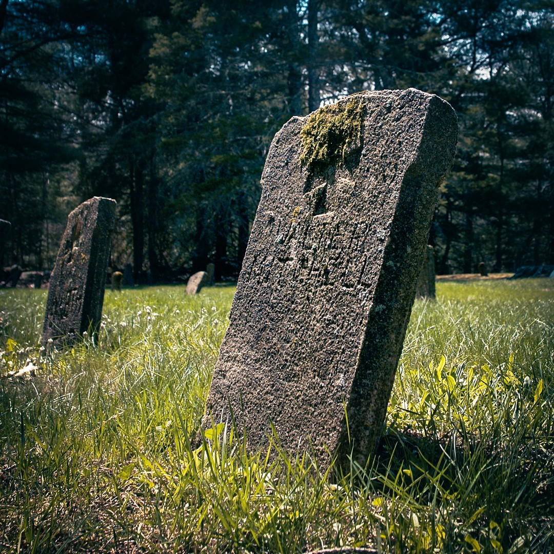 The Ladd - These woods still hold their secrets. In the fall of 1952 ...