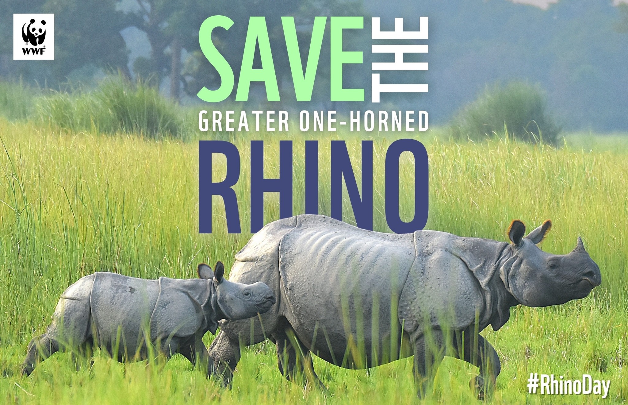 WWF-India - WWF-India added a new photo.