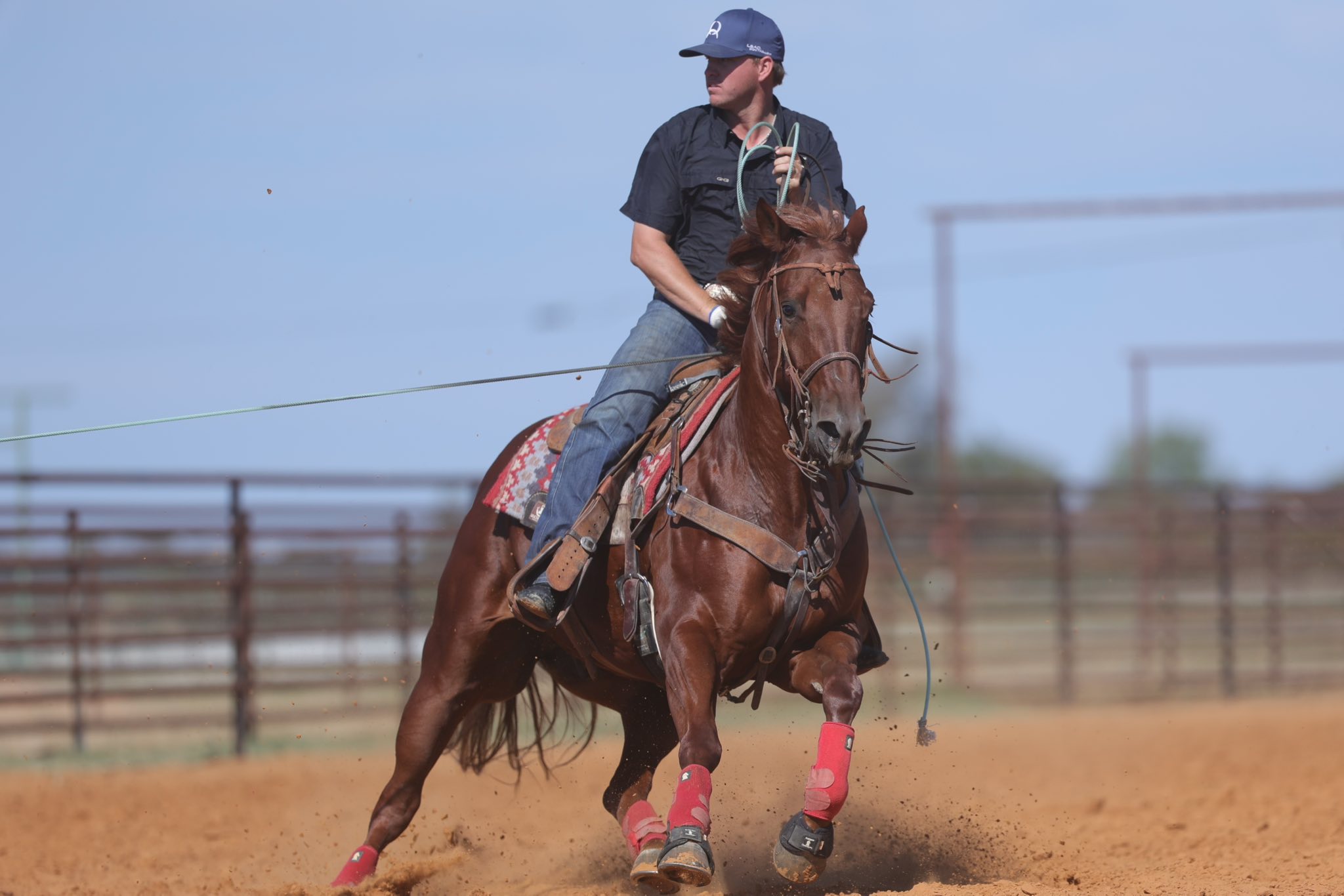 Roping.com - NFR Steer Break In with Hill Rodeo Cattle Day 1 Footage ...