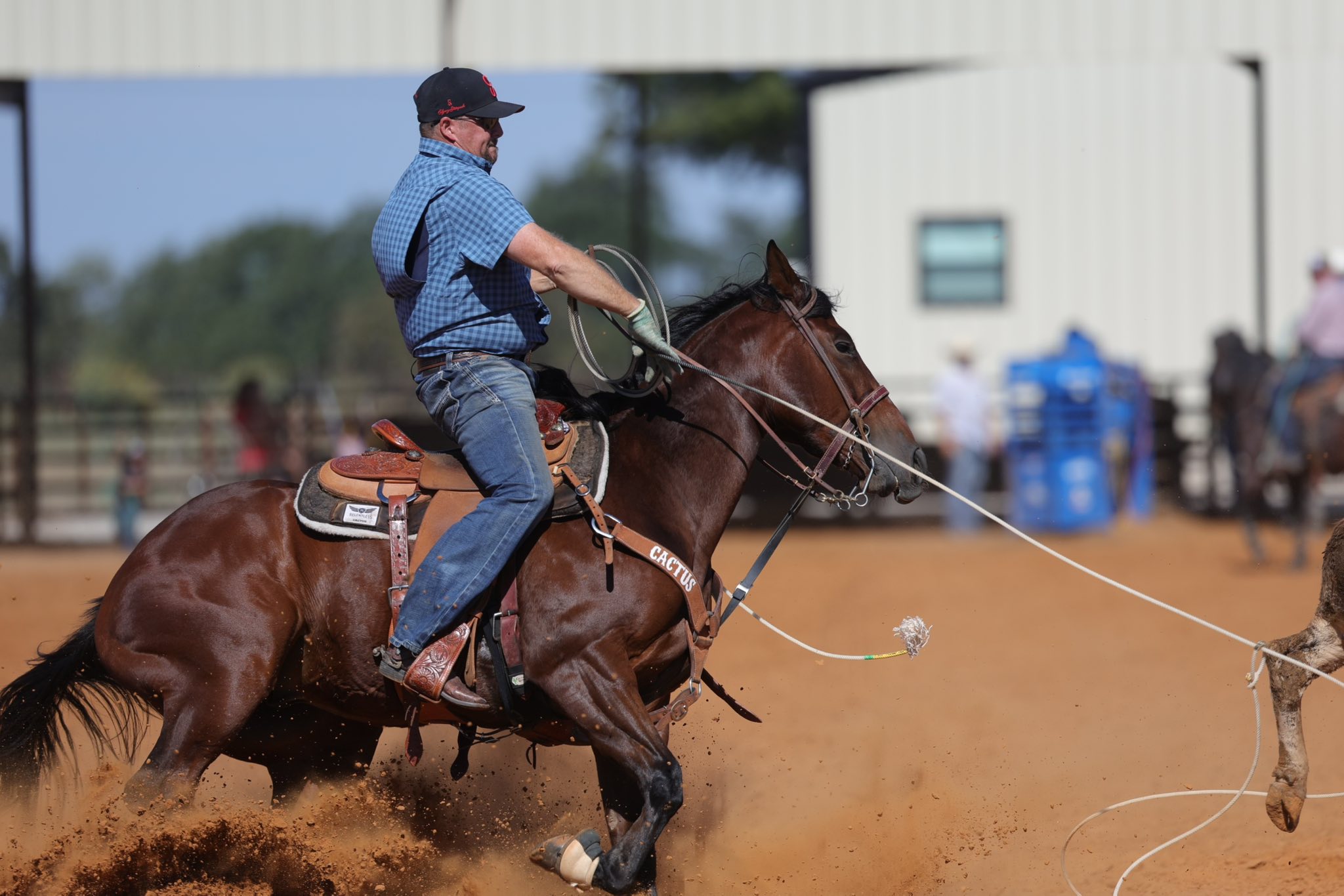 Roping.com - NFR Steer Break In with Hill Rodeo Cattle Day 1 Footage ...