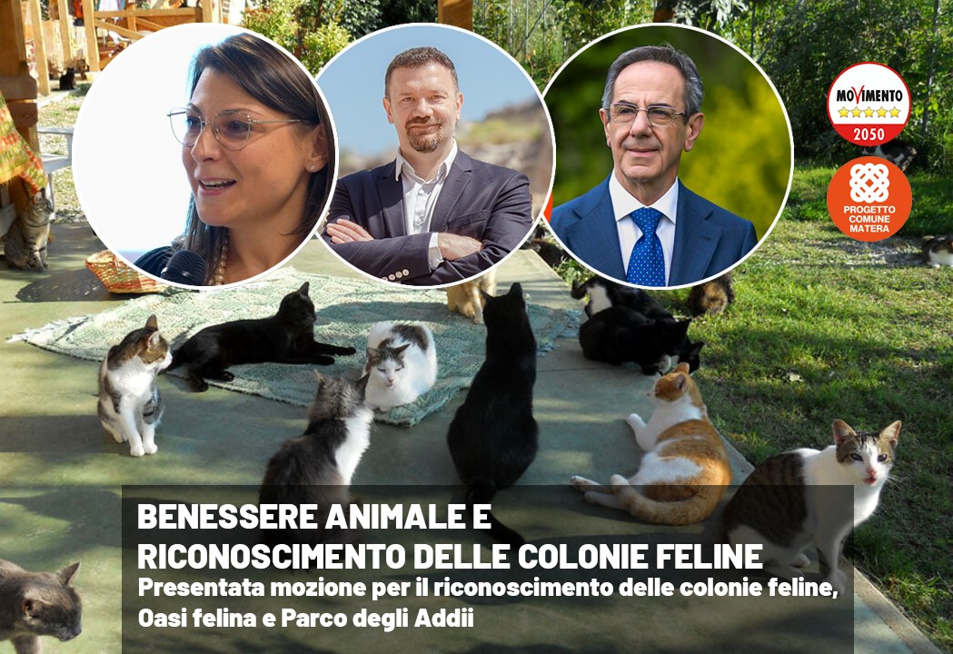 Marina Rizzi - Presentata a nome di Vincenzo Santochirico... | Facebook