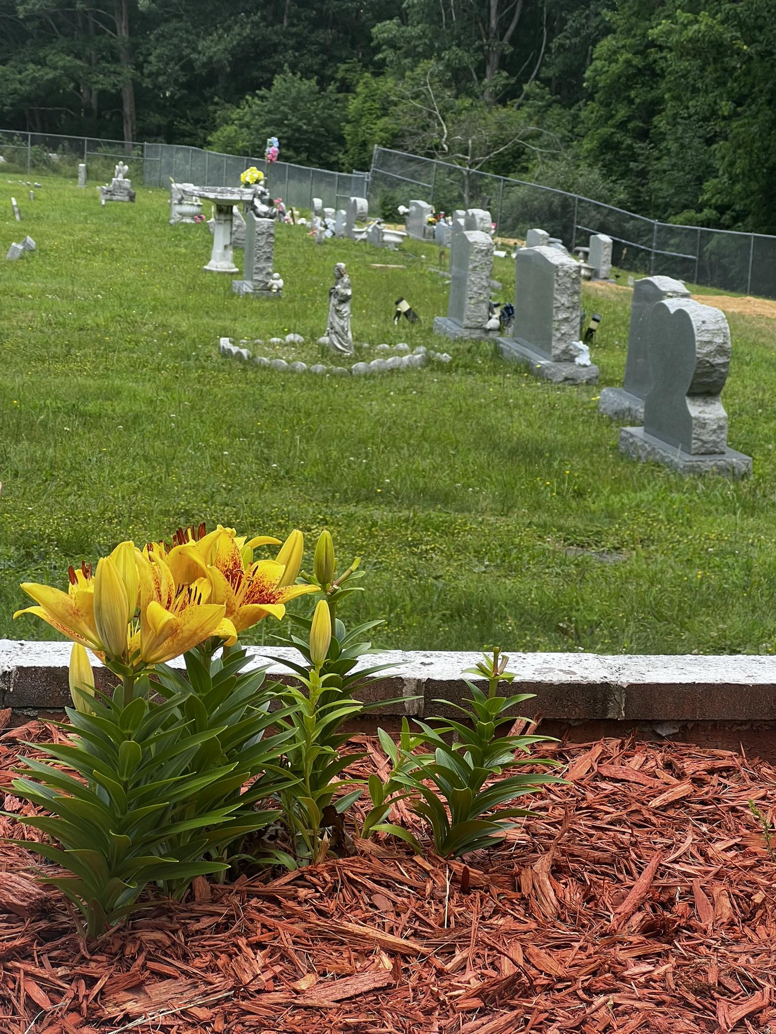 Brown Cemetery | Princeton WV
