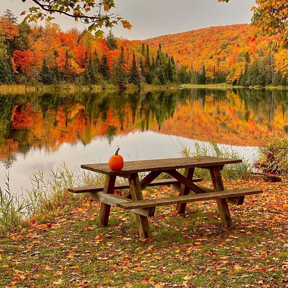 Queens Rx - Some people love fall🍂🍁 Some people struggle... | Facebook