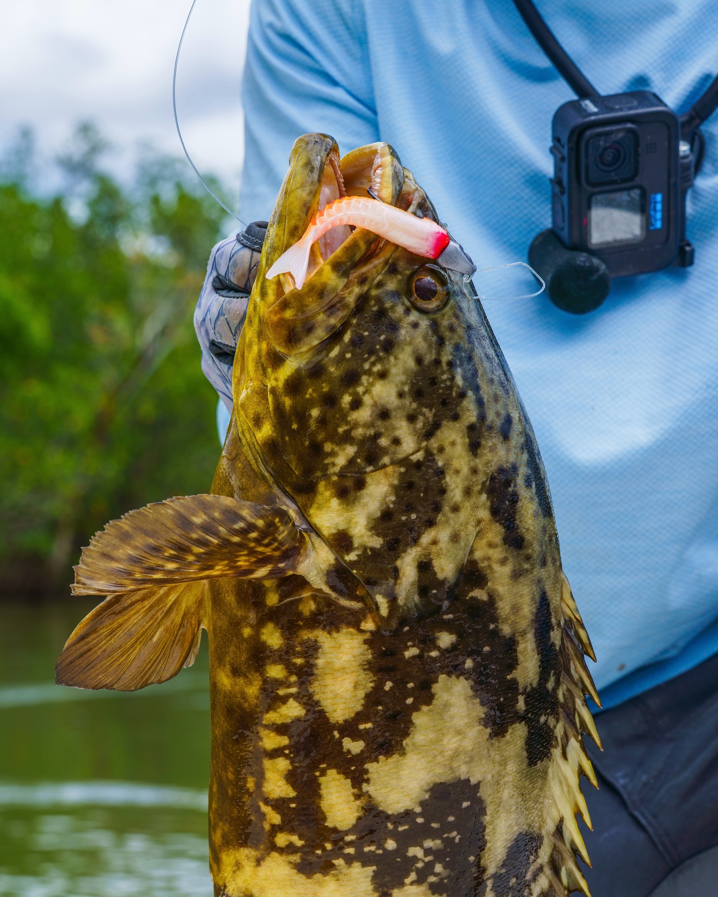 berkley fishing catalog Multi-Tool offering a premium soft glide bait that is precision Berkley Australia | Catch More