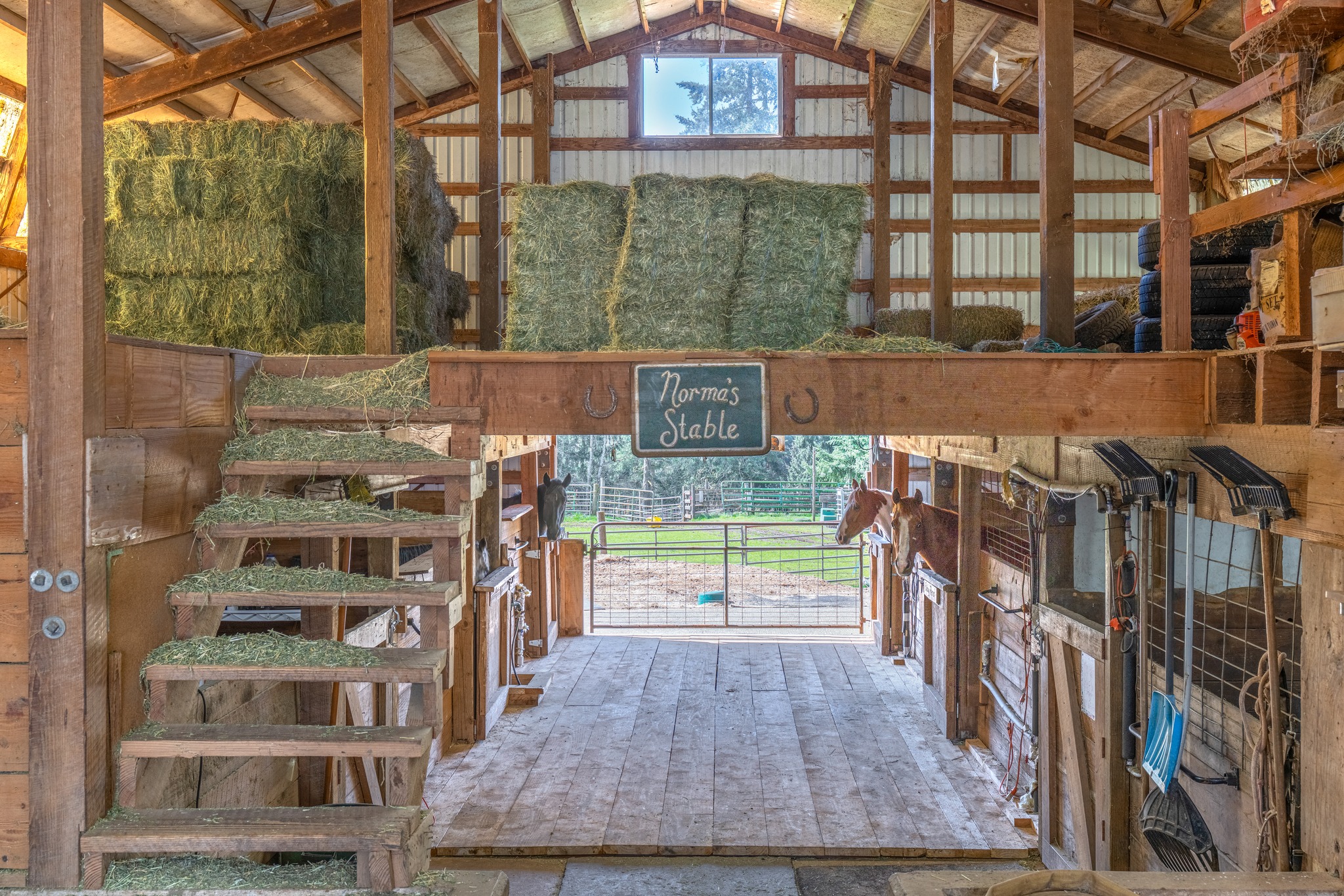 END Ranch James Quarter Horses: VJ ProHorses | Sandy OR