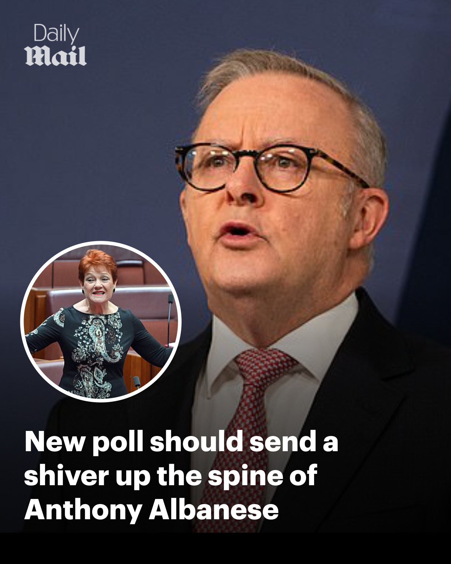 Albo's popularity has taken a dive... - Daily Mail Australia | Facebook
