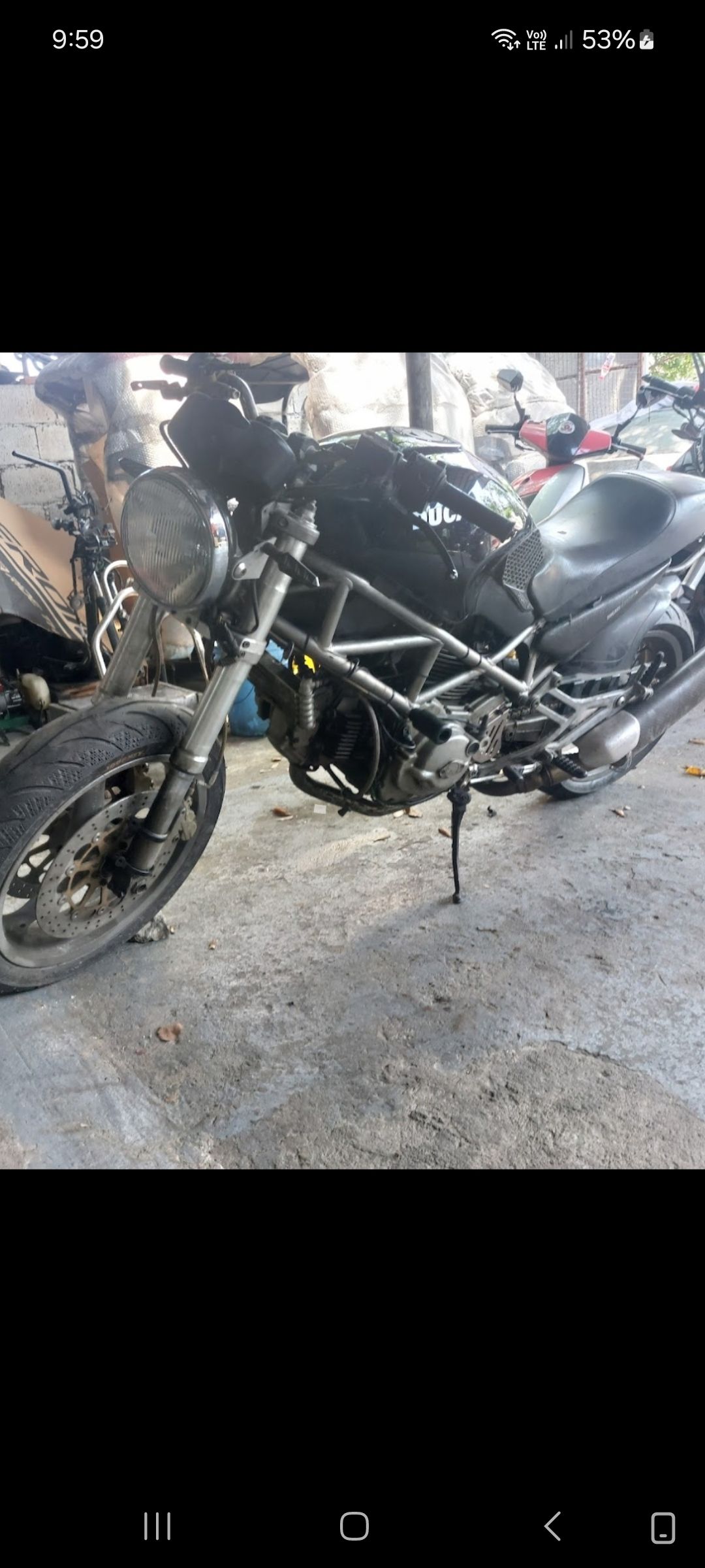 Ducati monster for sale