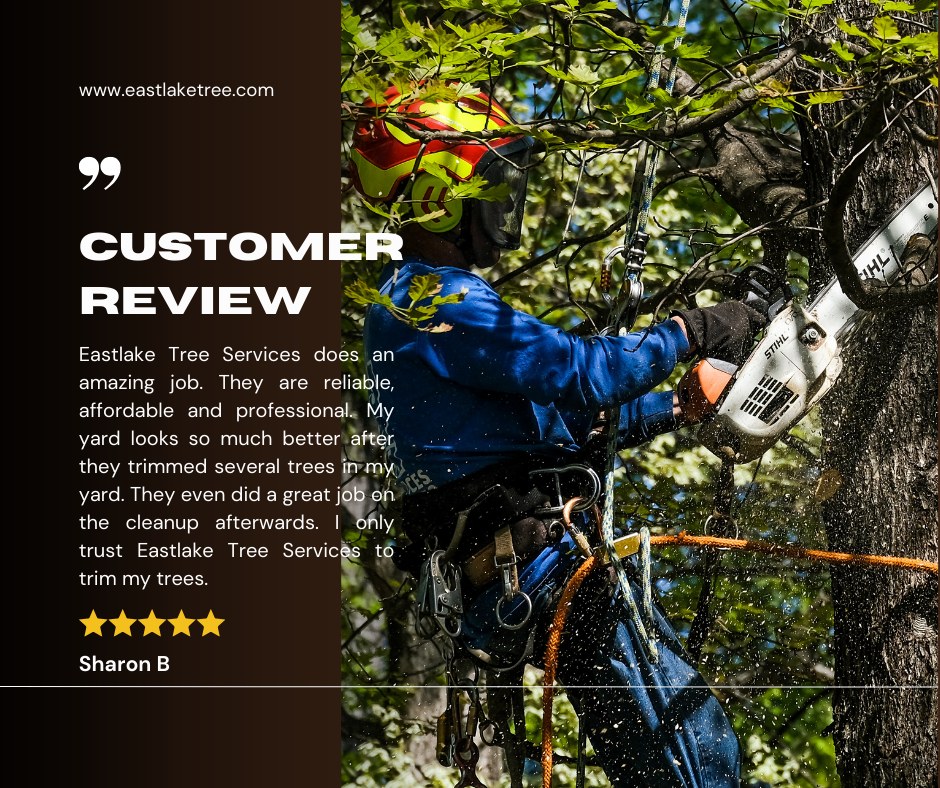 EastLake Tree Services