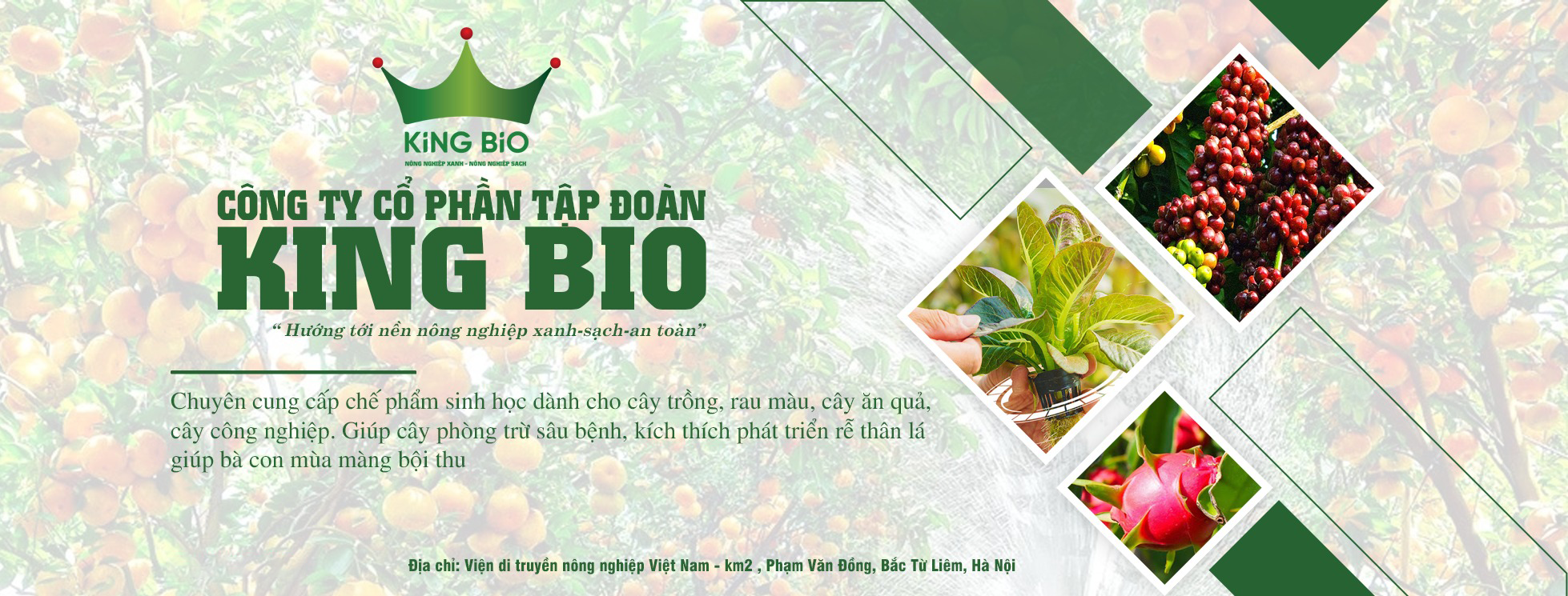 King Bio - Diệt Sạch Giải Pháp Diệt Sạch Các Côn Trùng Gây Hại | Hanoi