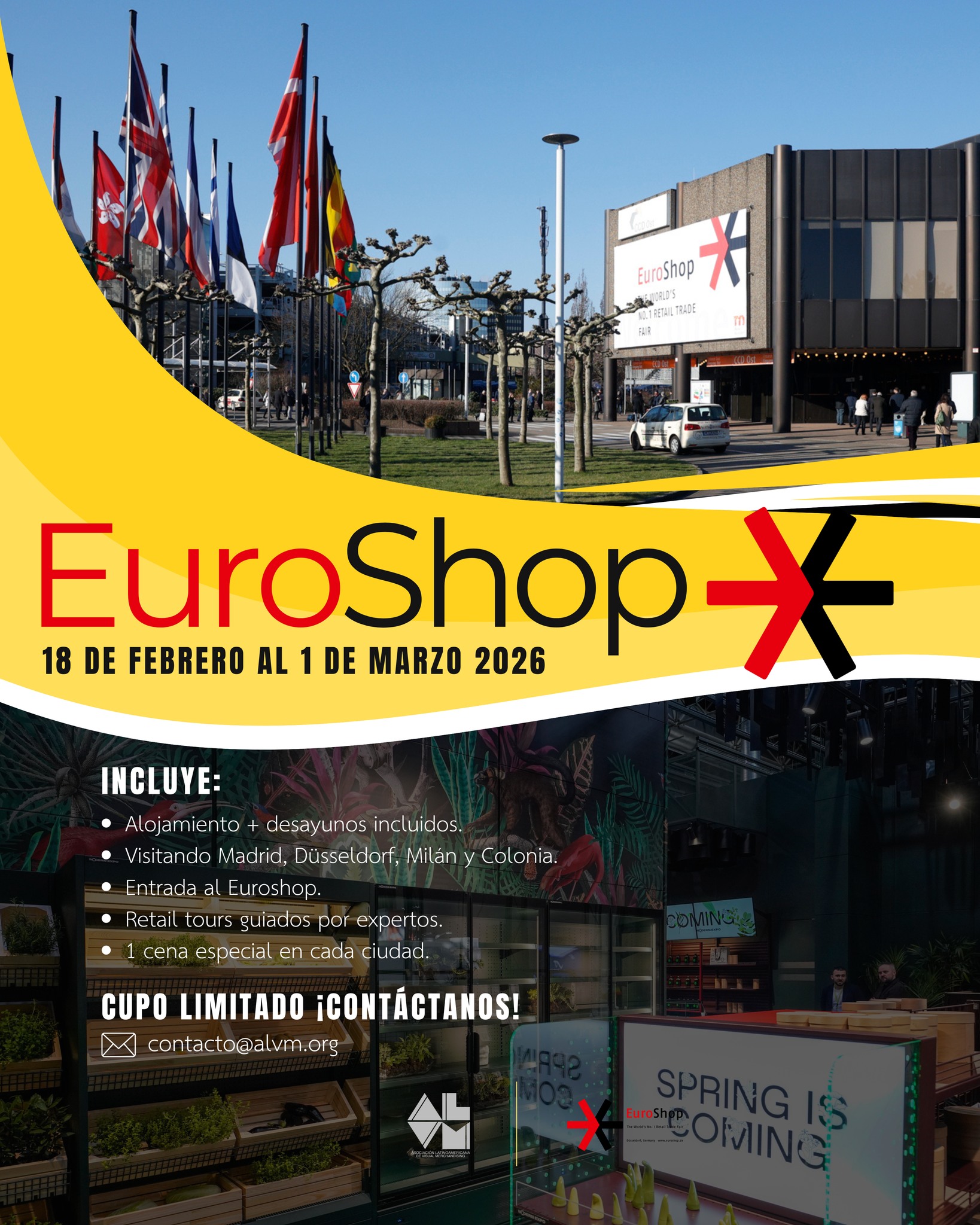 ALVM - Asociación Latinoamericana de Visual Merchandising