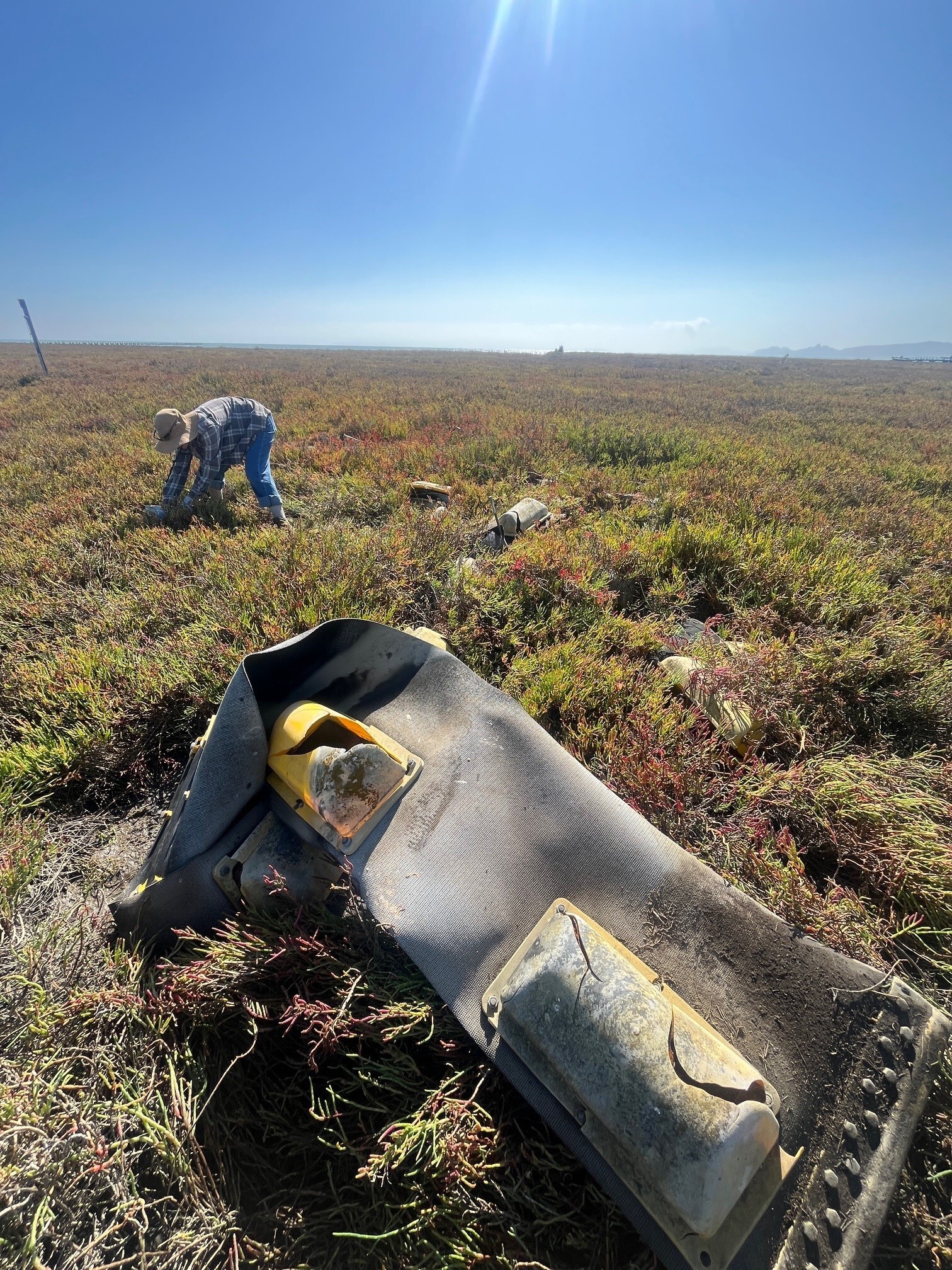 Point - Scenes from our recent volunteer event at the #NovatoBaylands ...