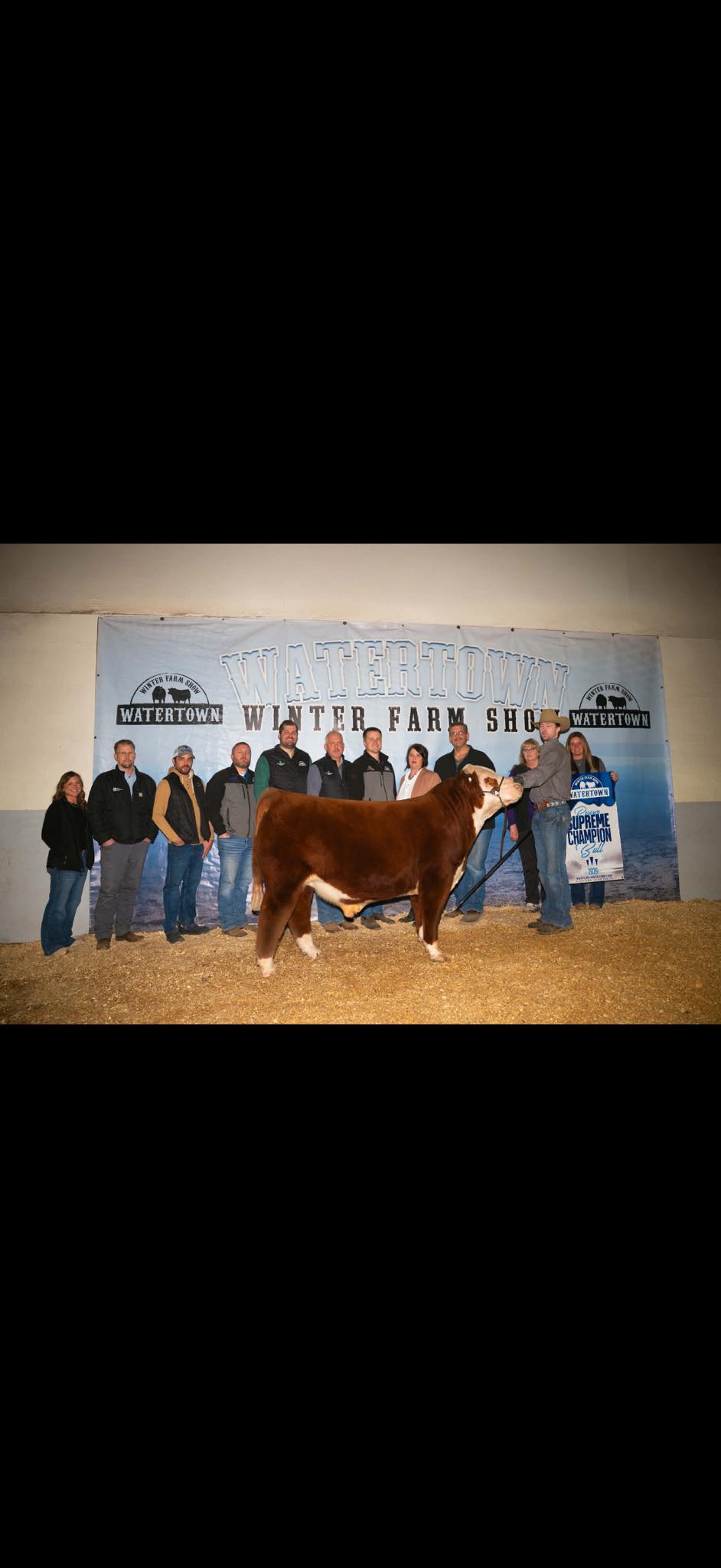 Neil Farms Hereford Cattle | Northfield MN