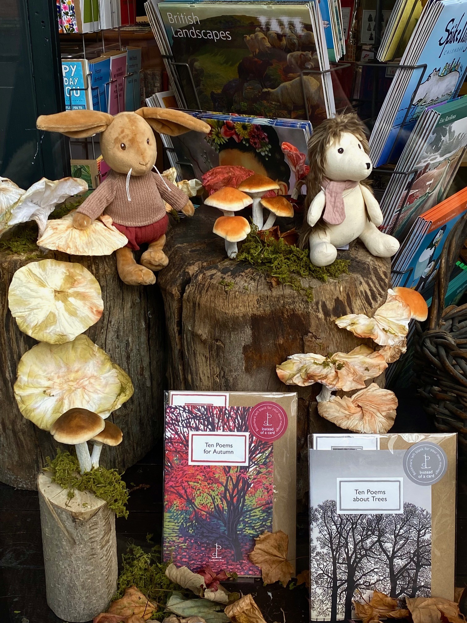 Chorlton - Look who we've found chatting in the forest! It's Lenny ...