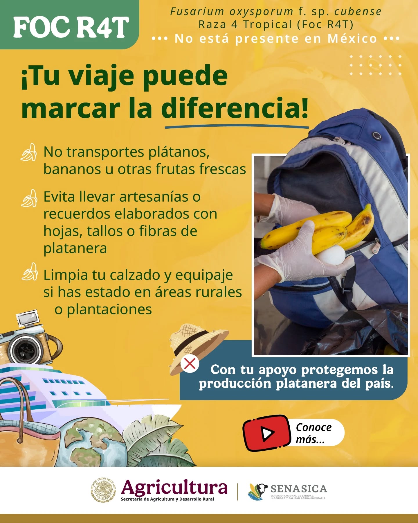 Senasica - 🍌Atención viajero 🧳¿Vienes de visita a México? Ayúdanos a ...