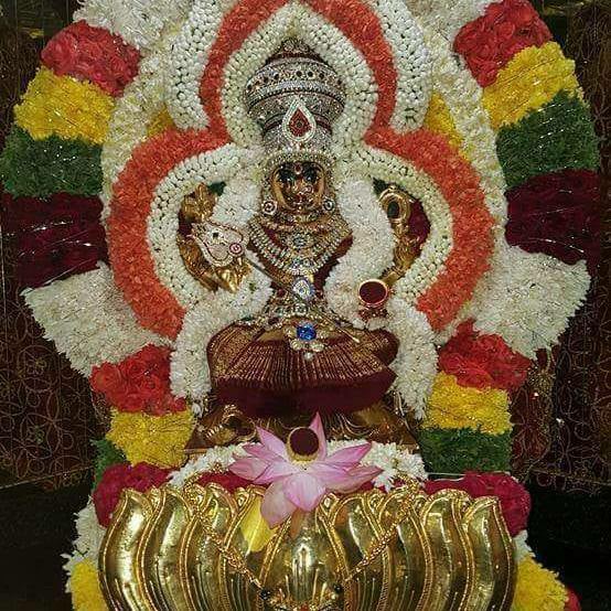 Pushpalatha Bj